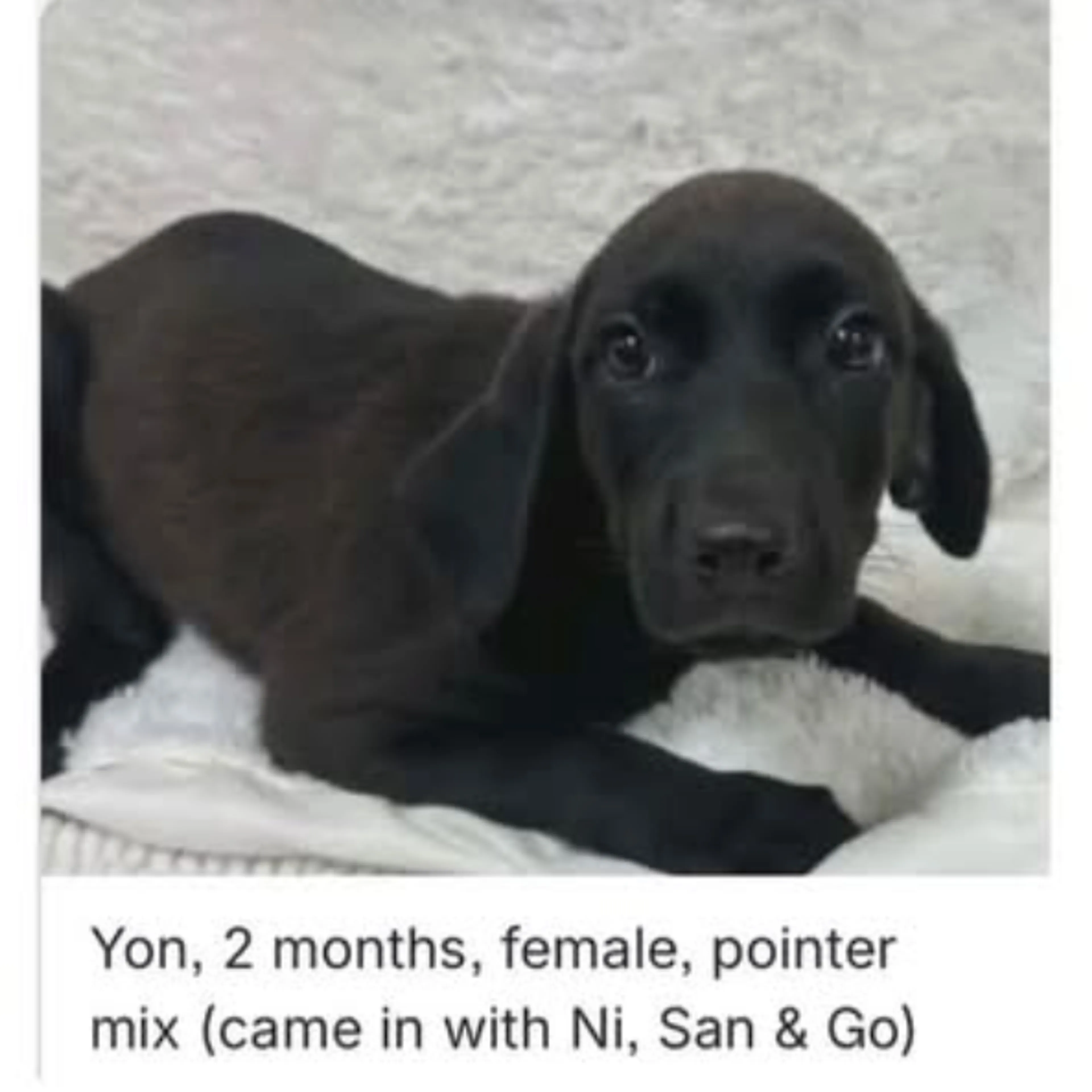 -1