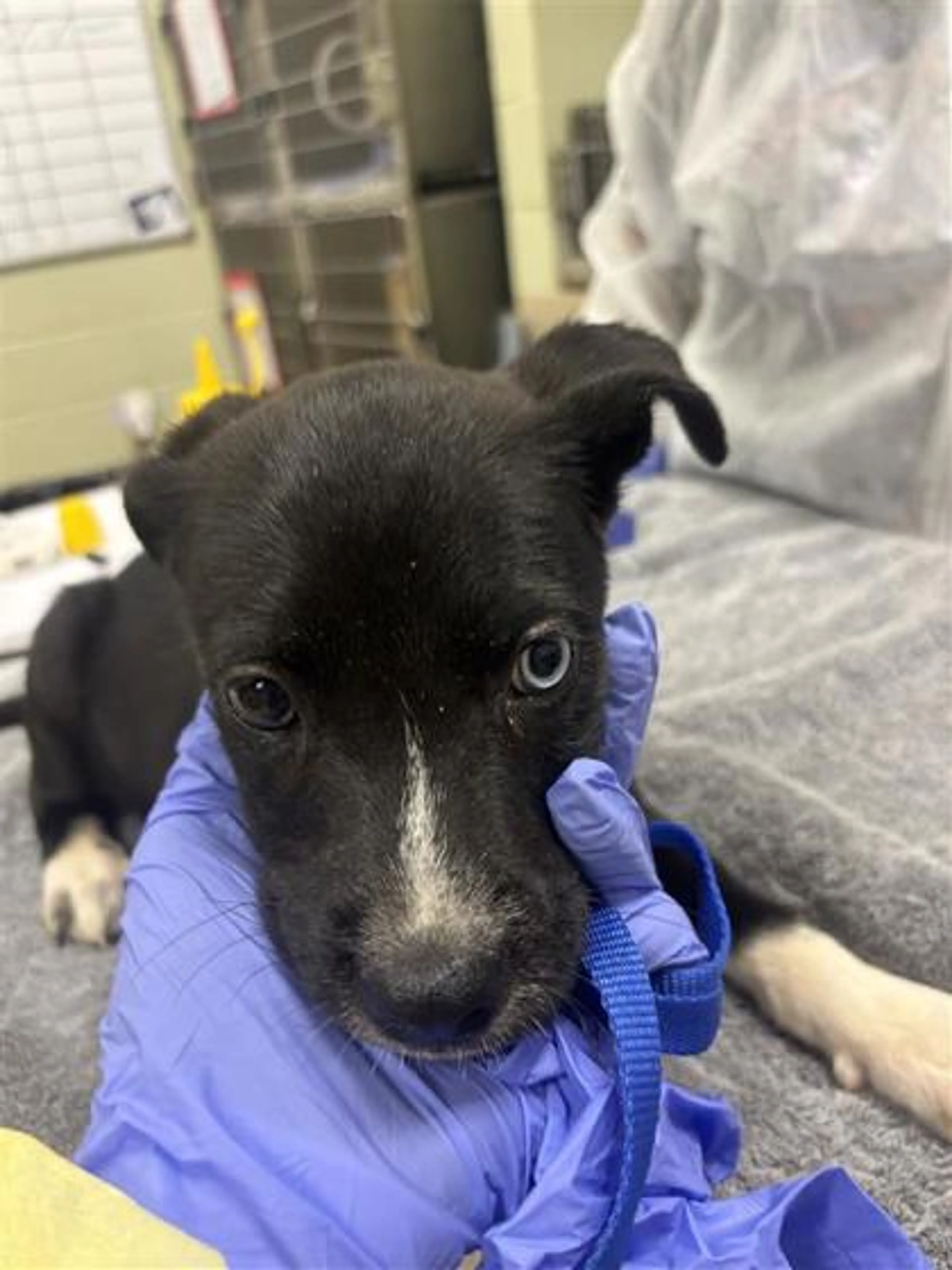 -2