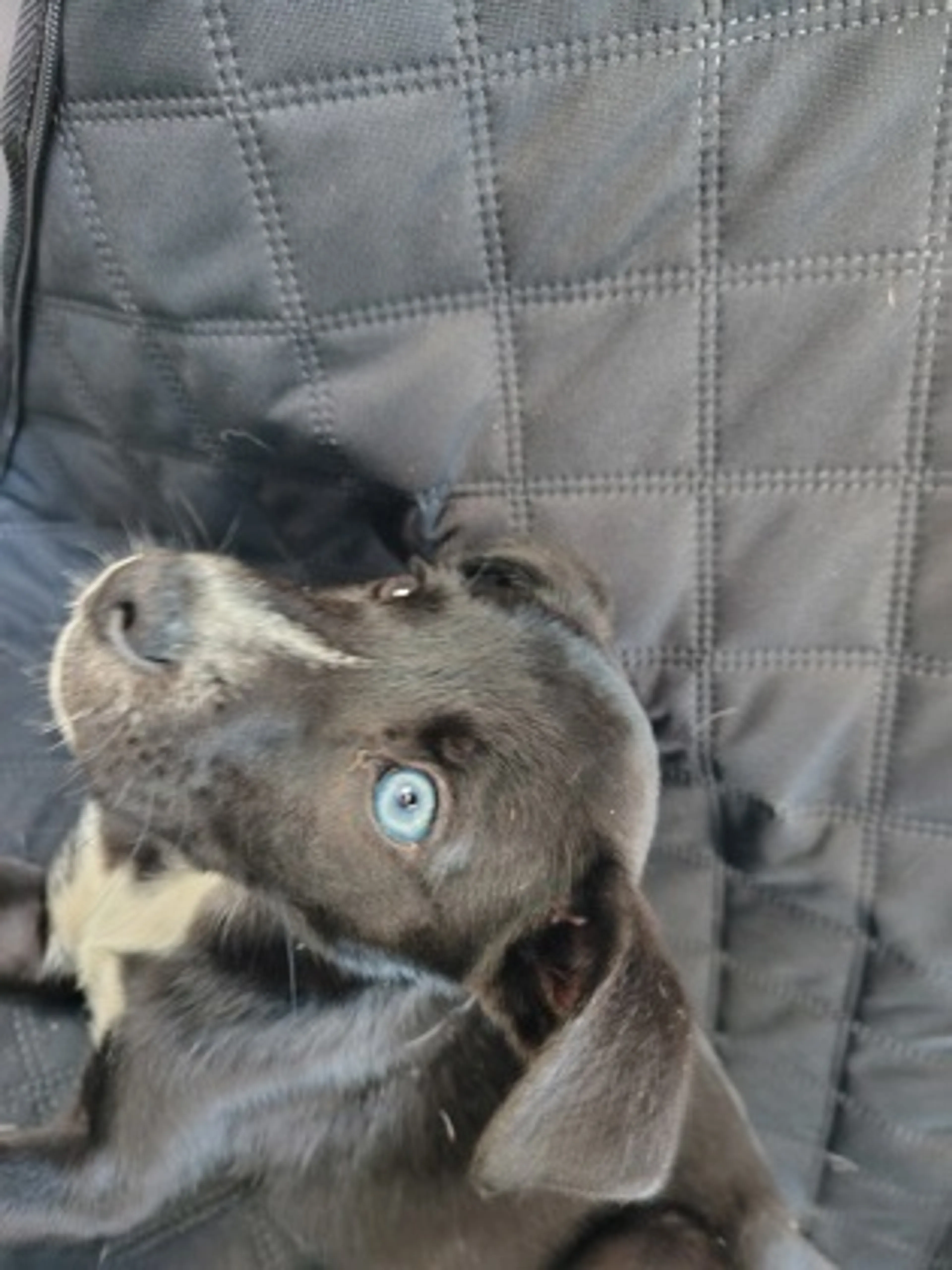 -0