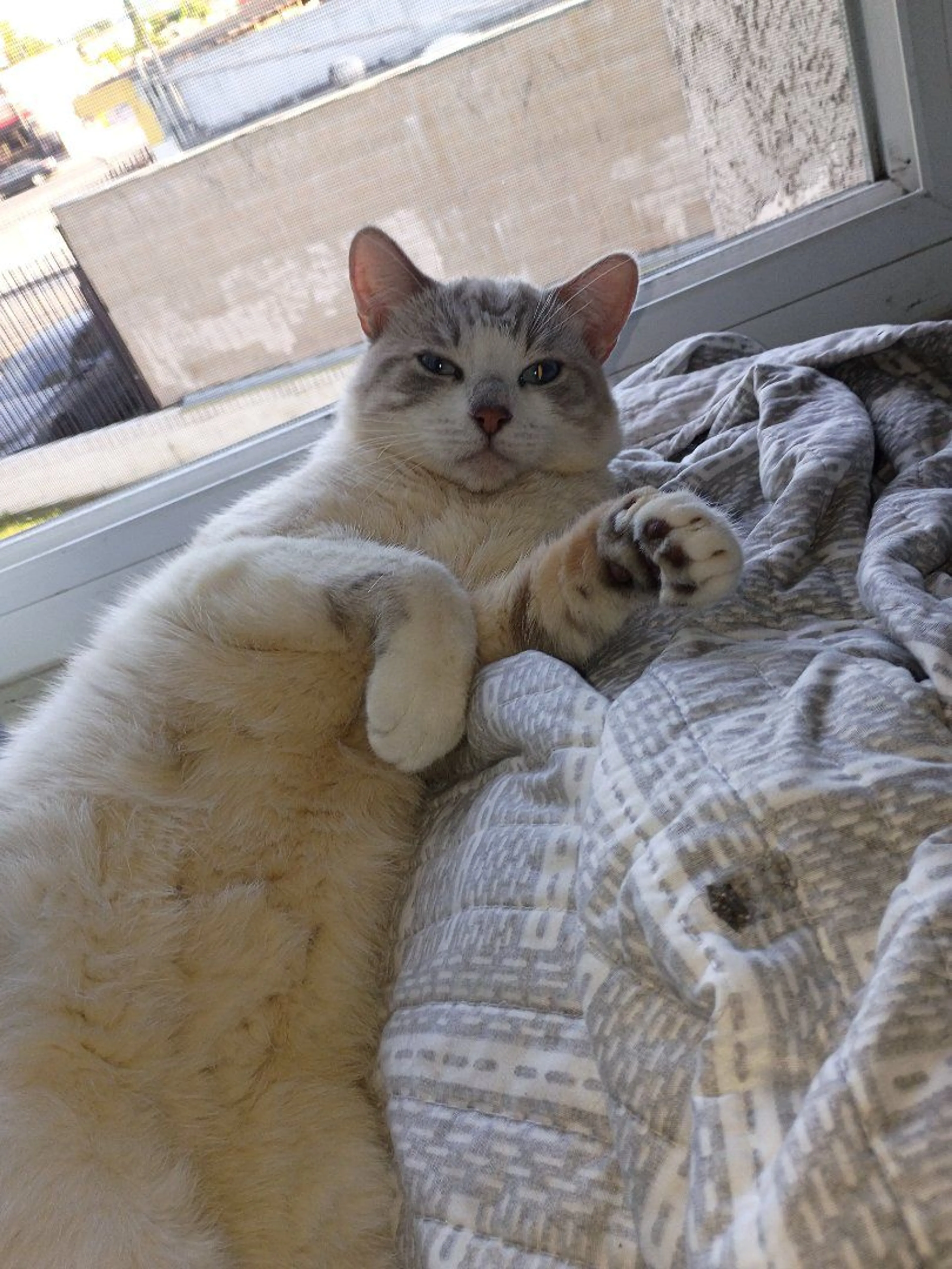 -3