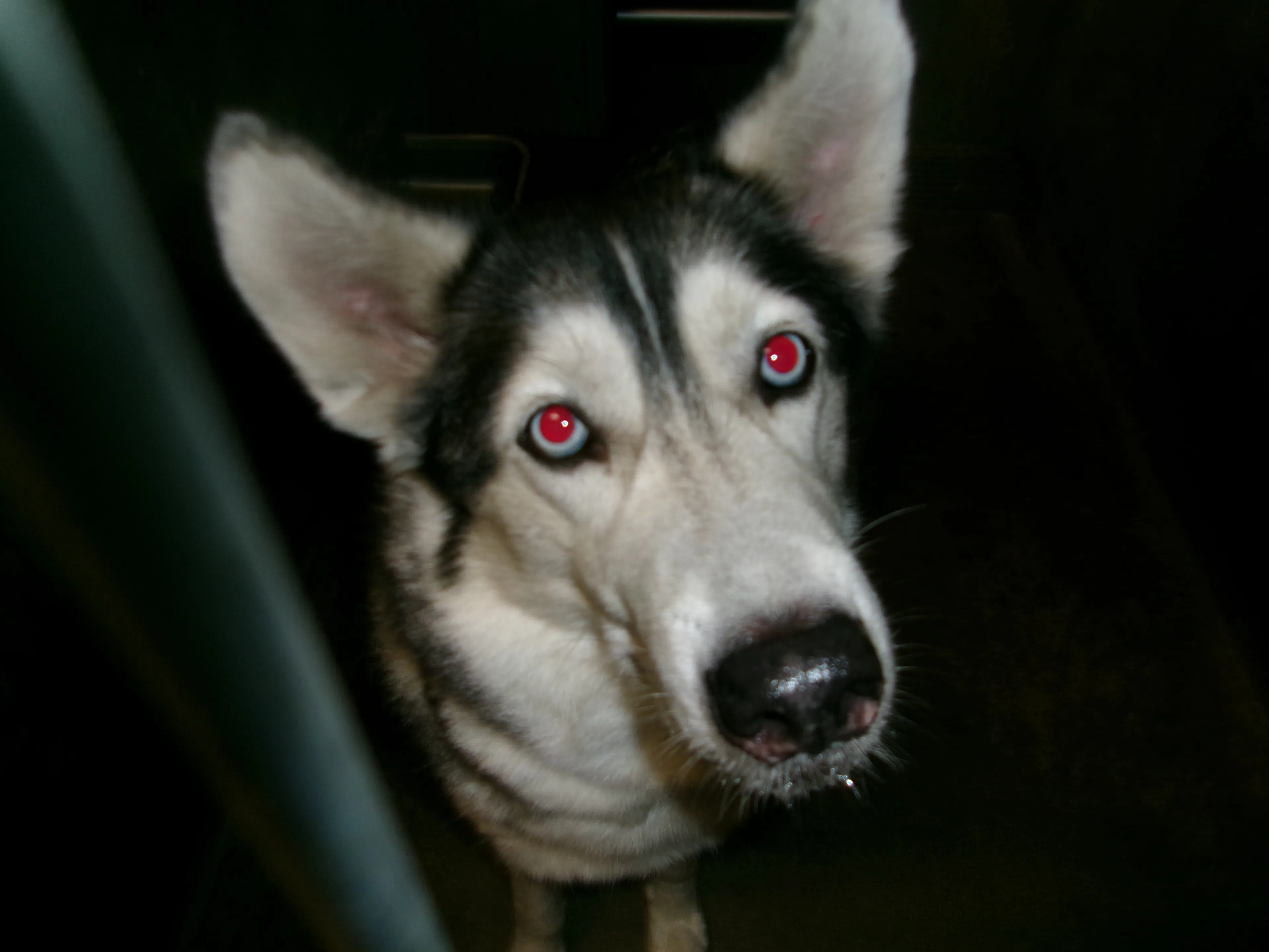 cdn image
