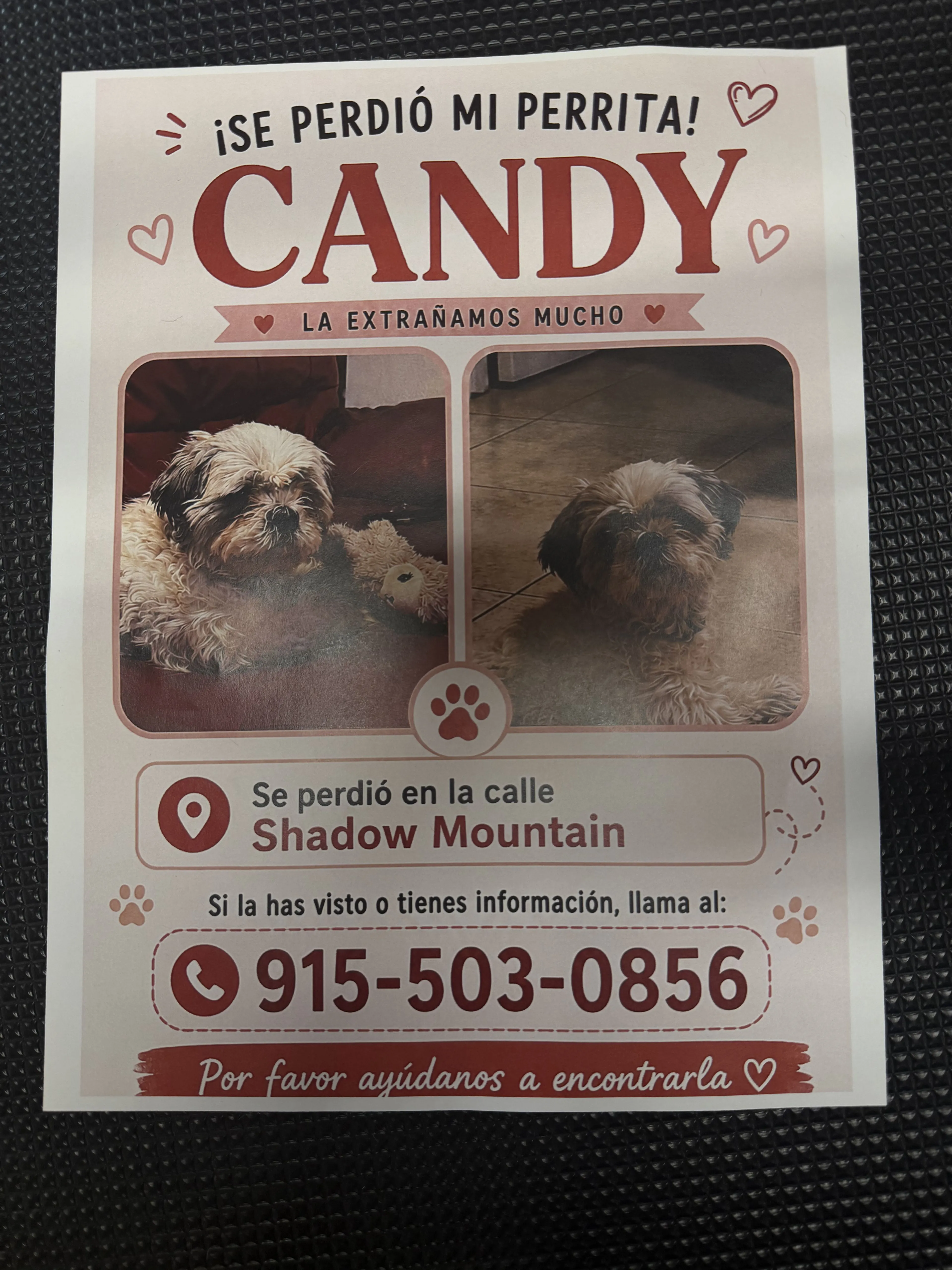 cdn image
