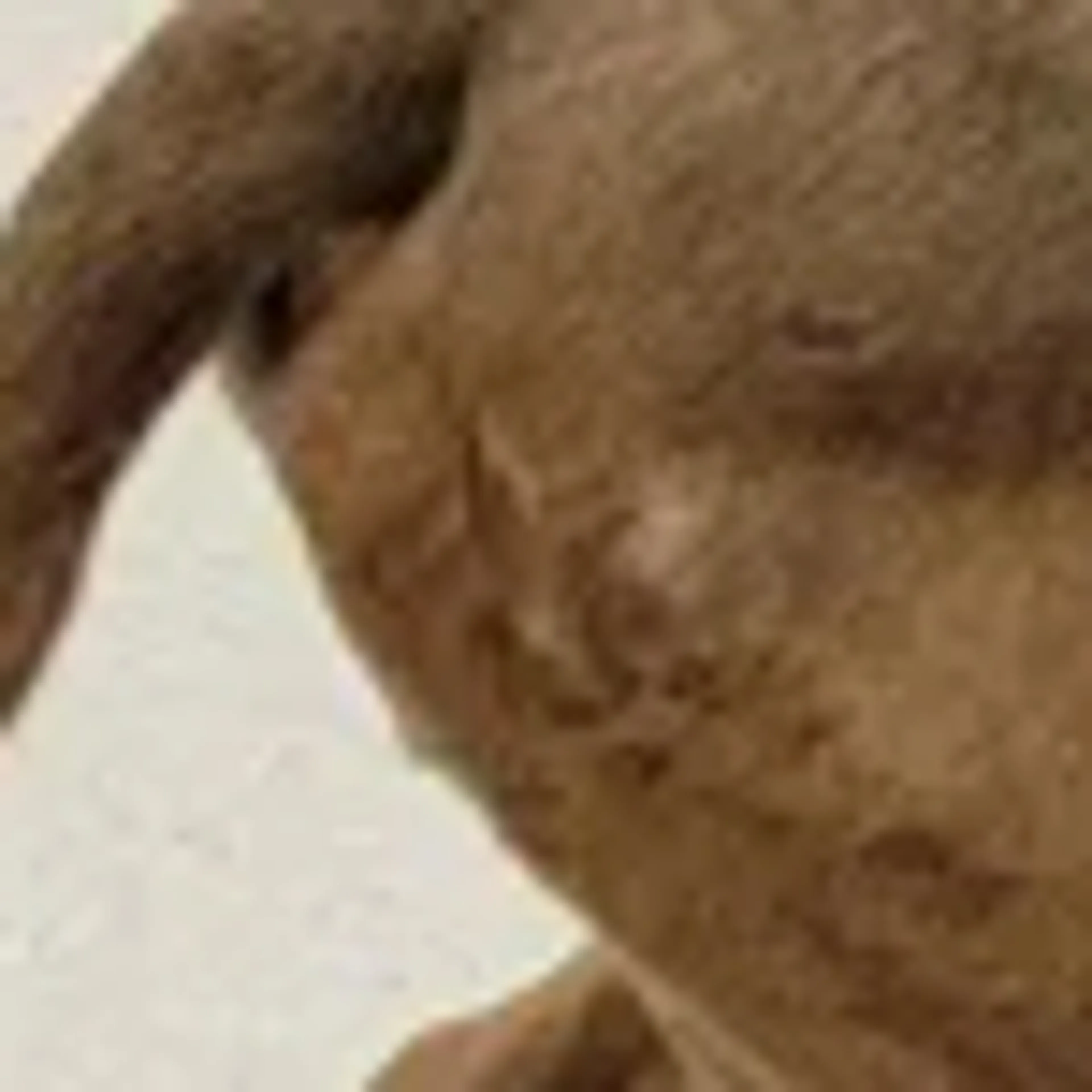 cdn image