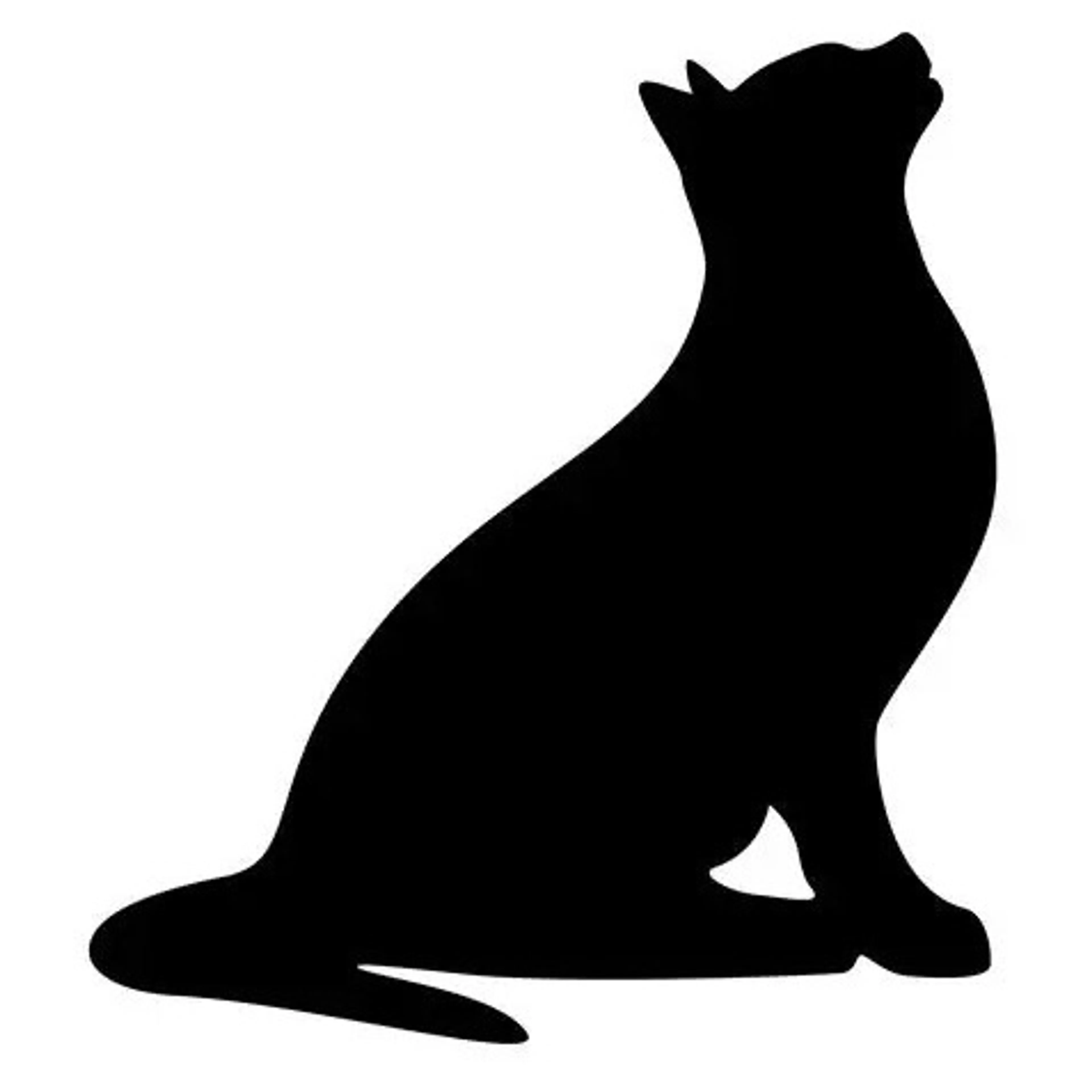 cdn image