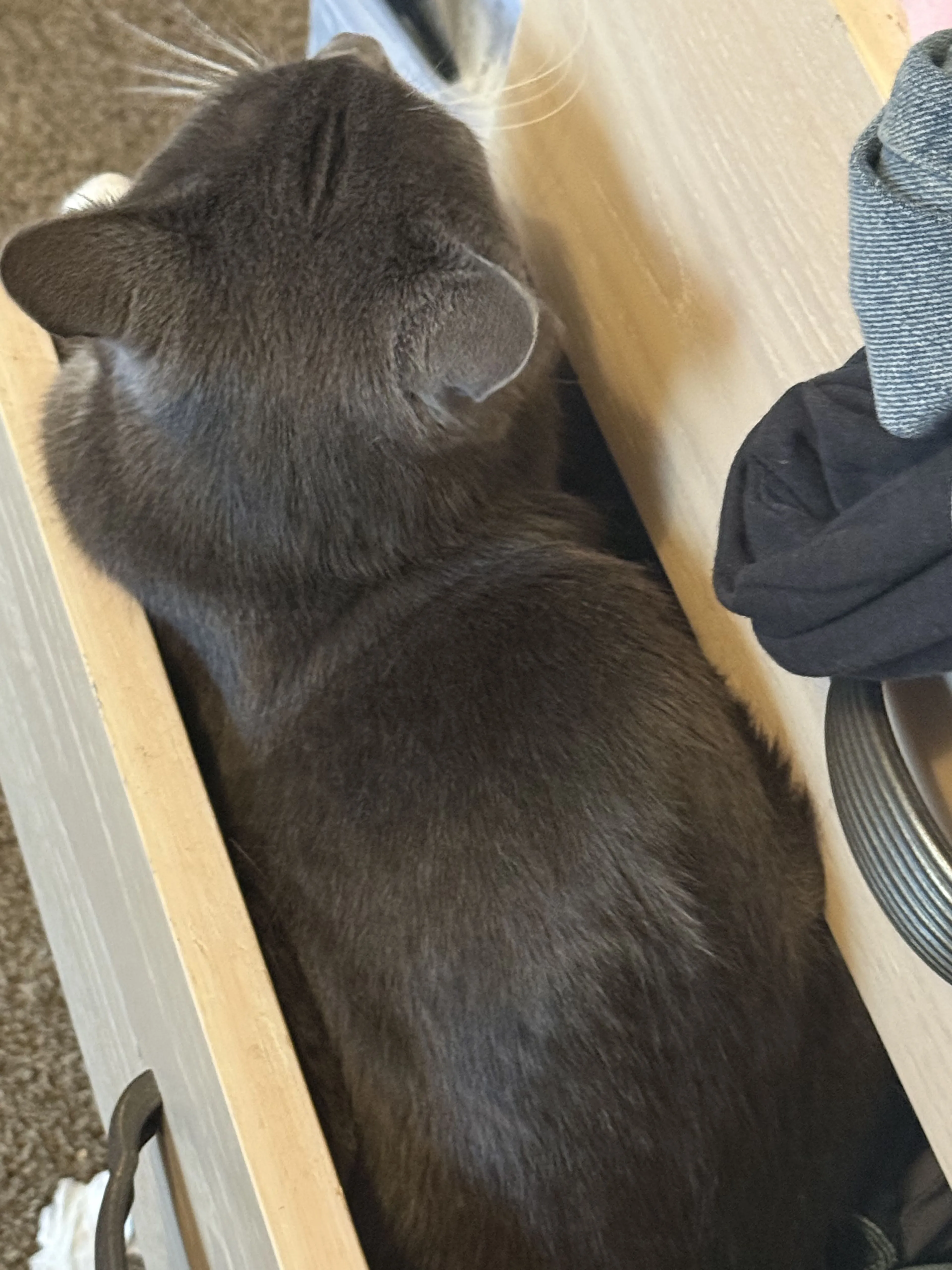 -1