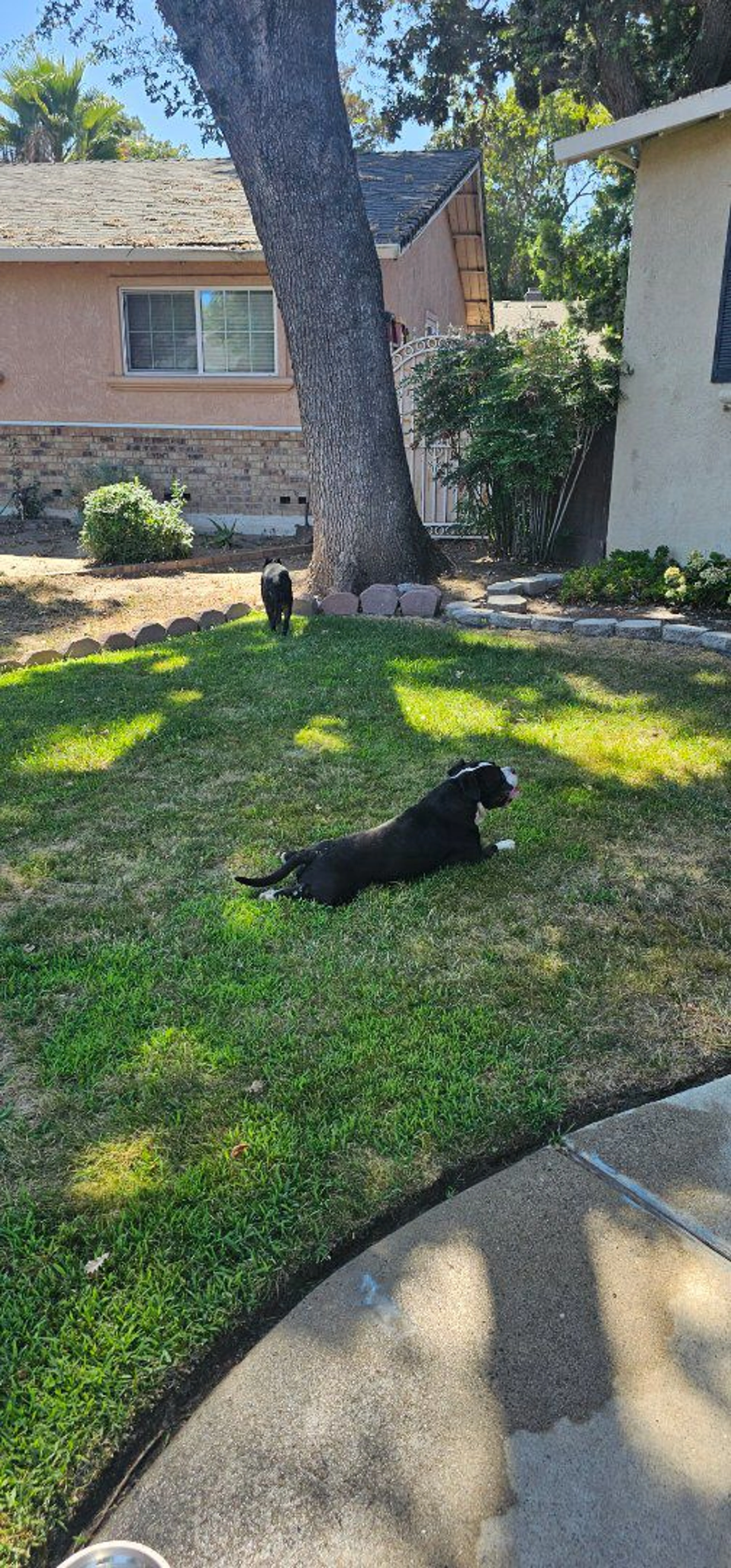-0