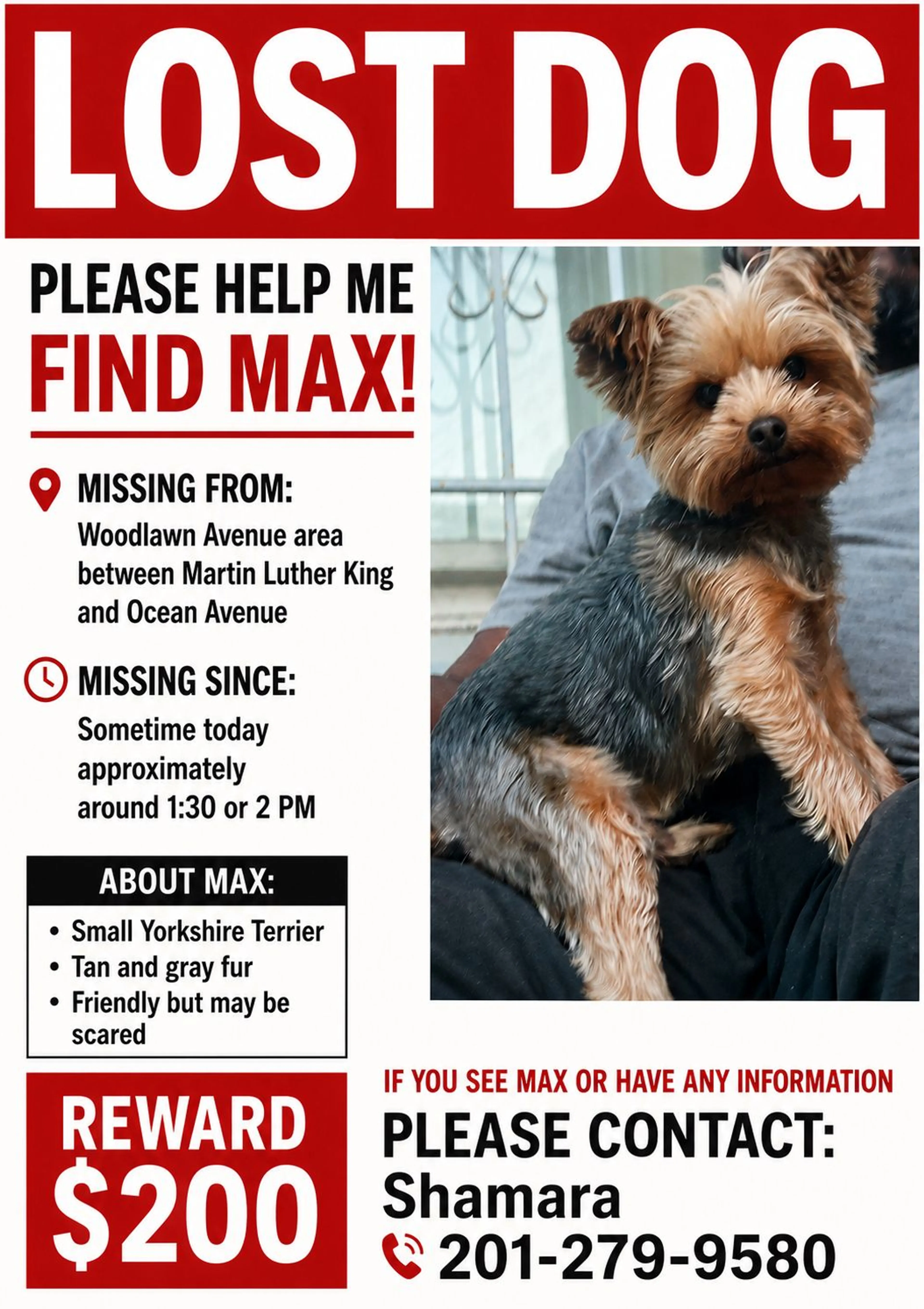 cdn image