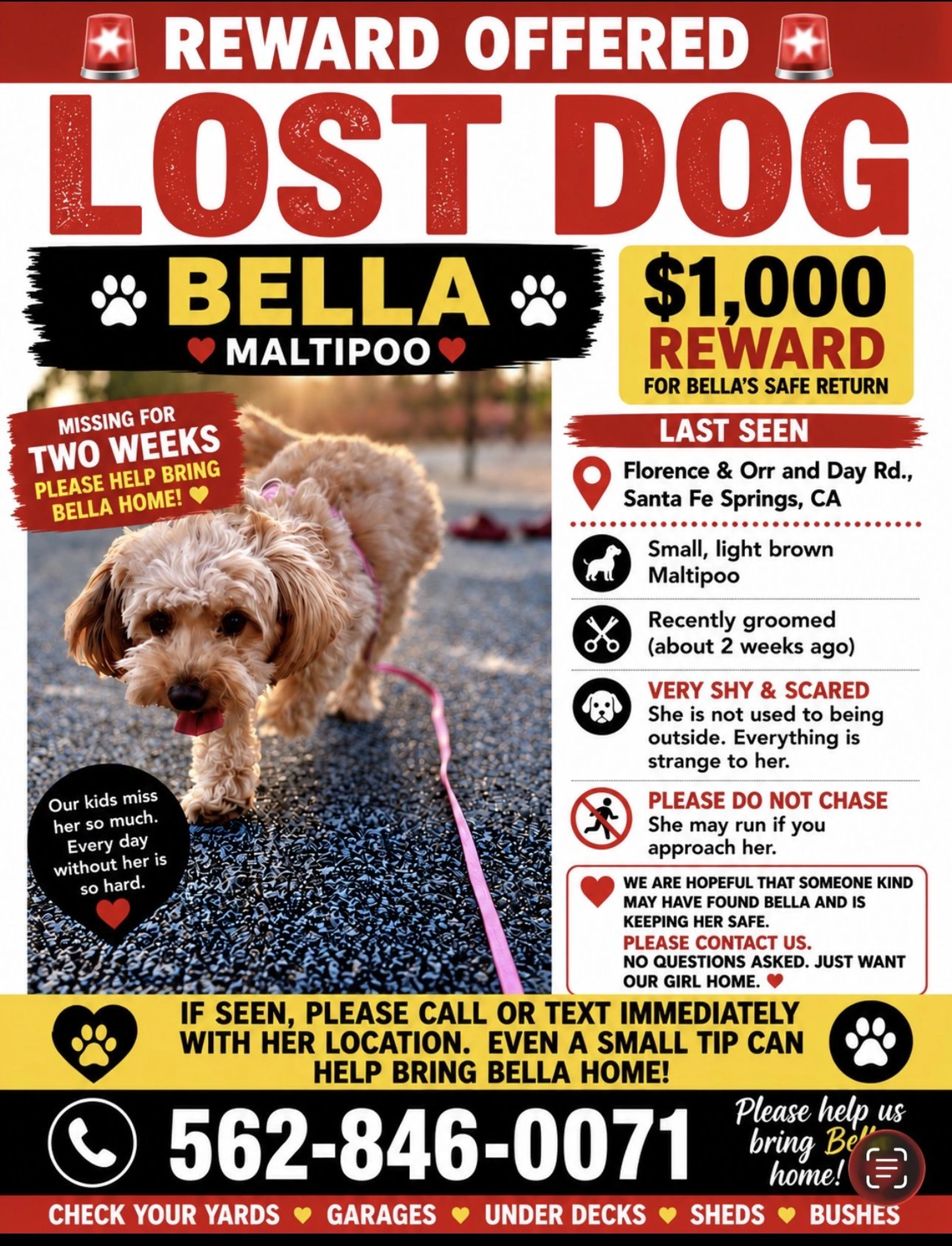 cdn image