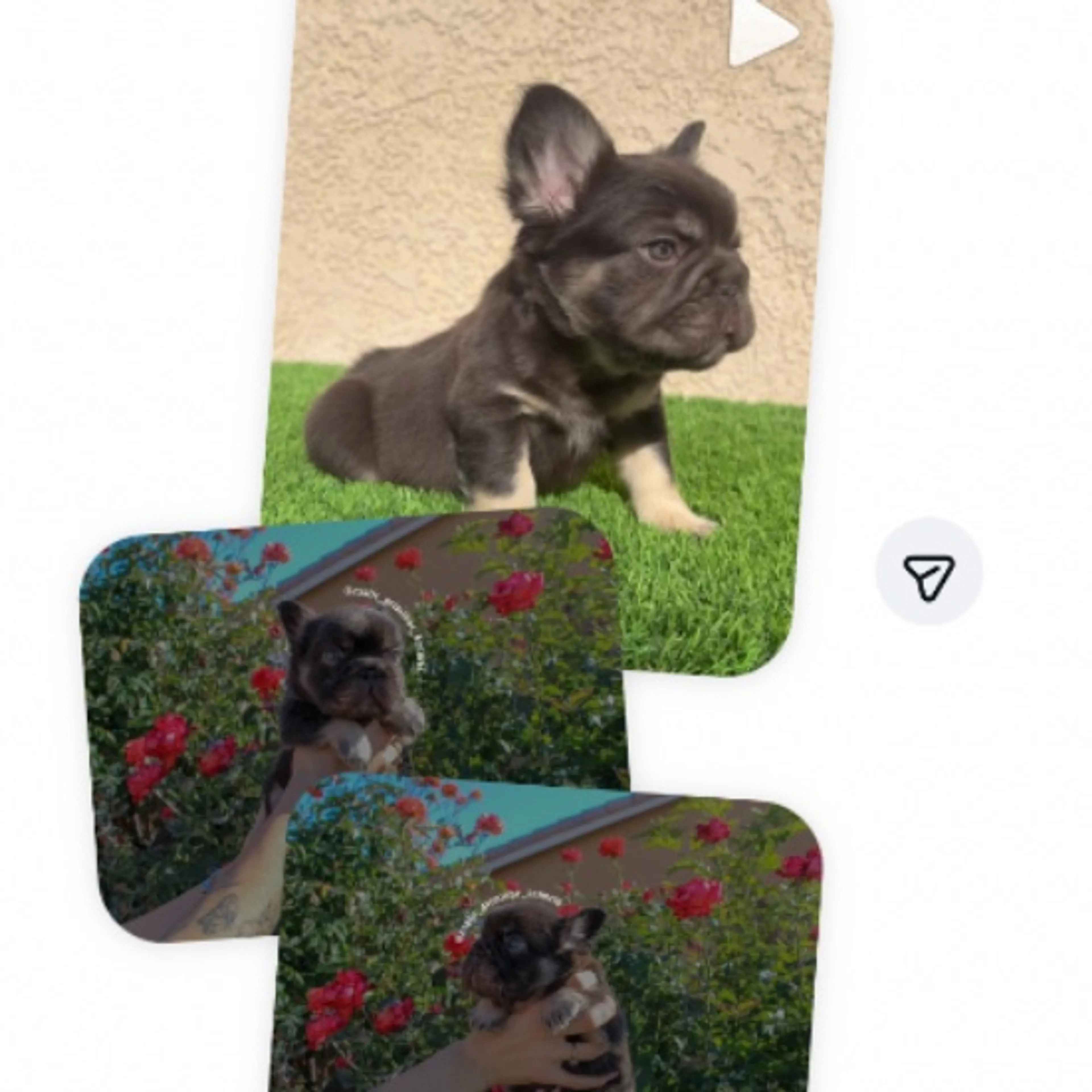 cdn image