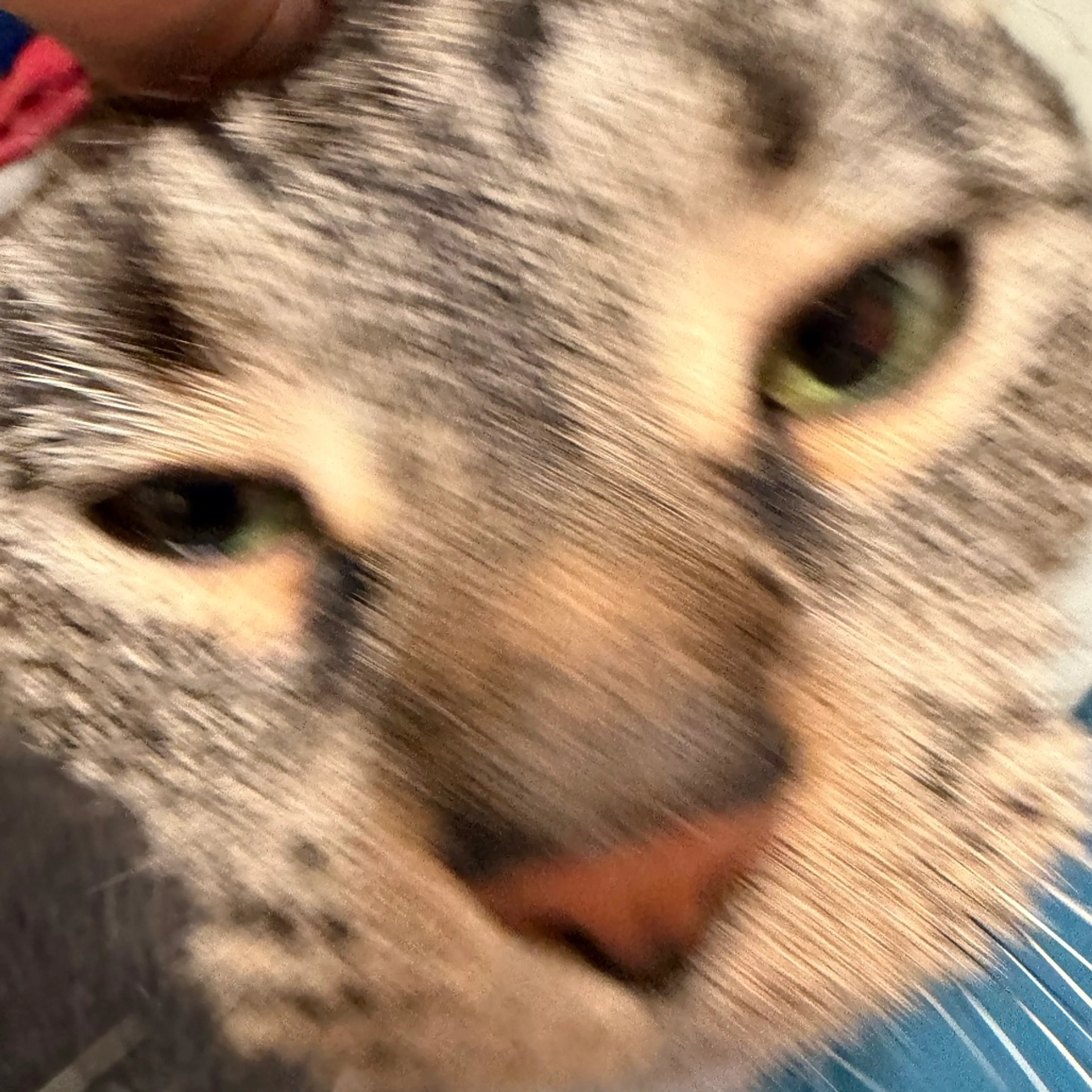 -5