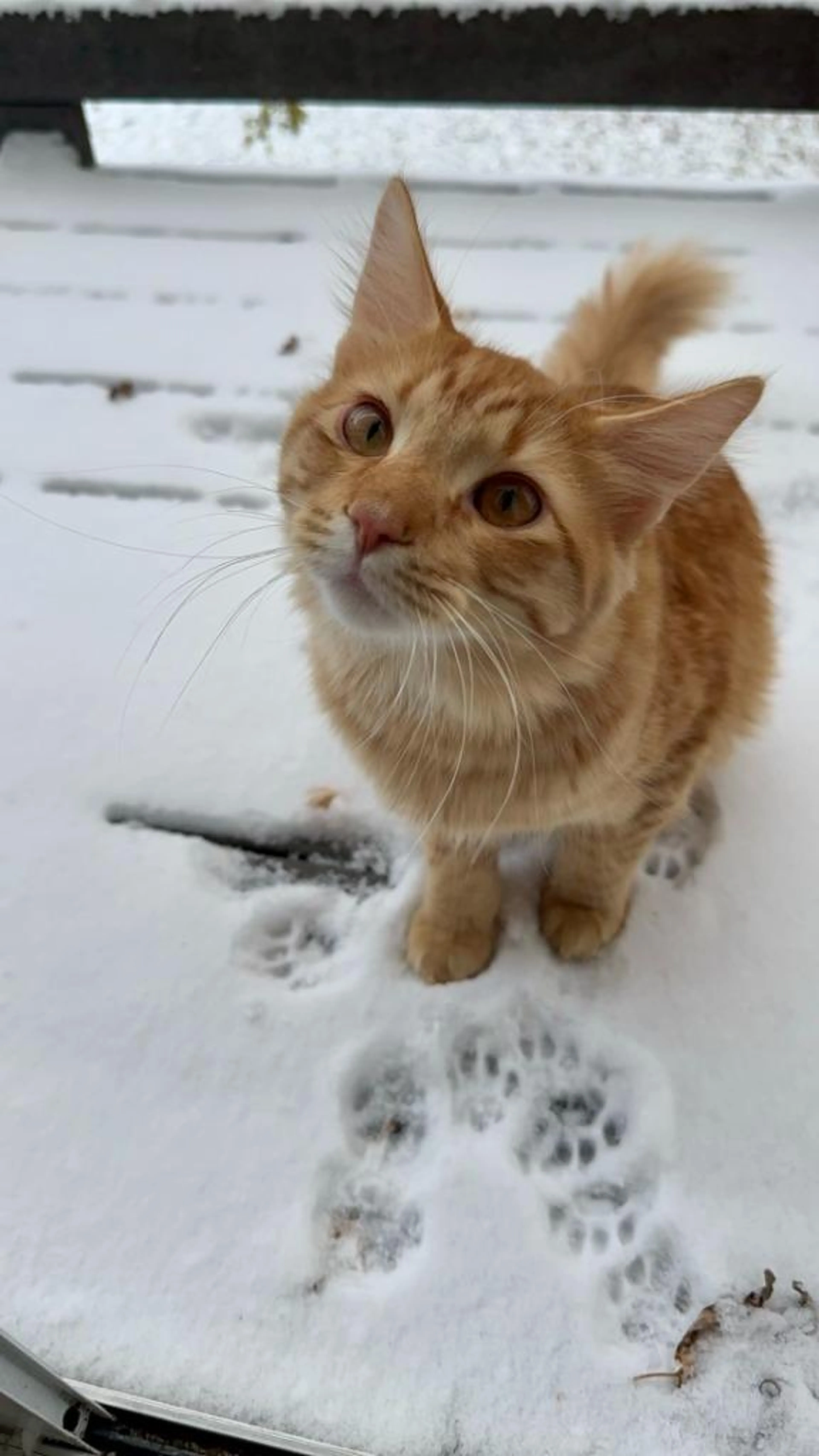 -1