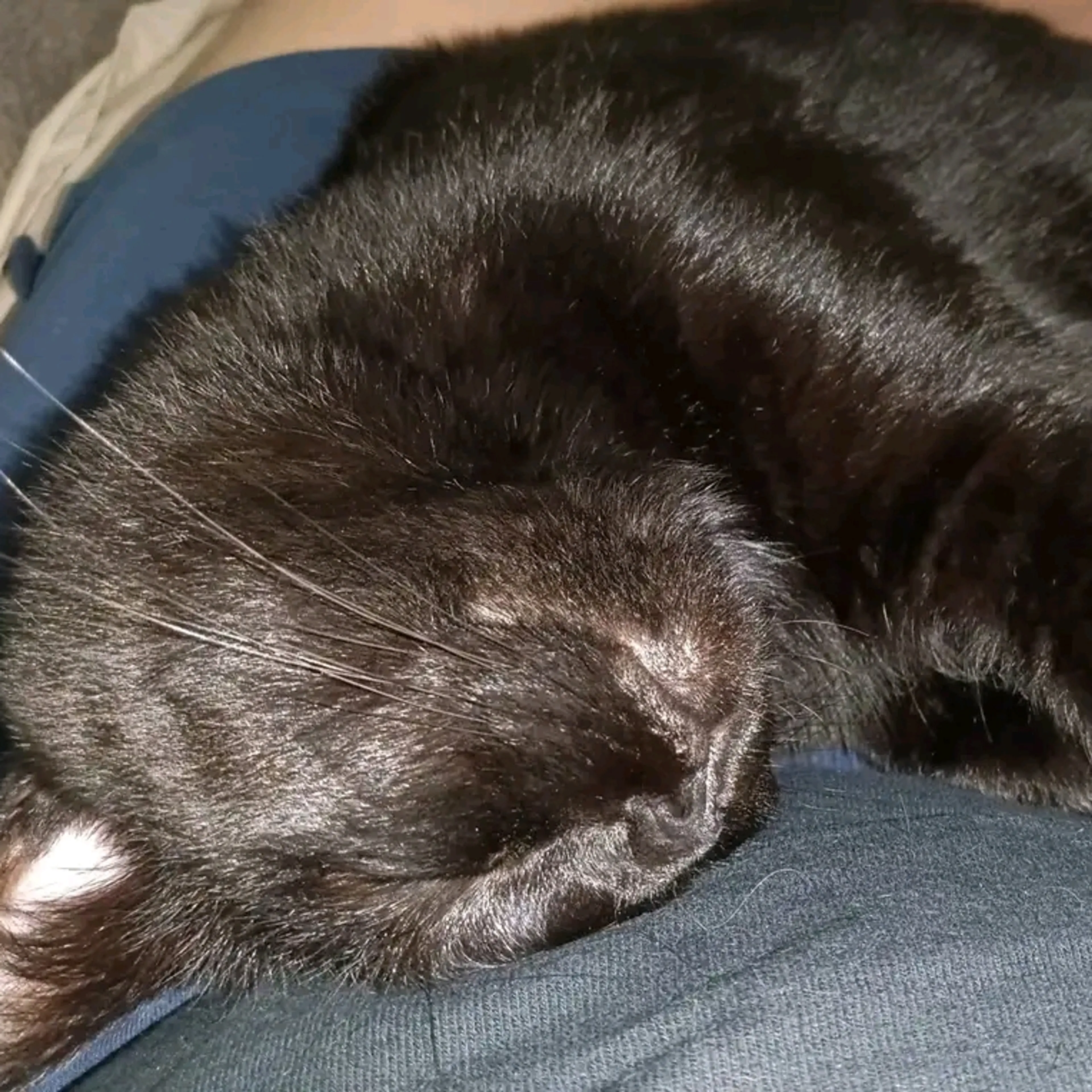 cdn image