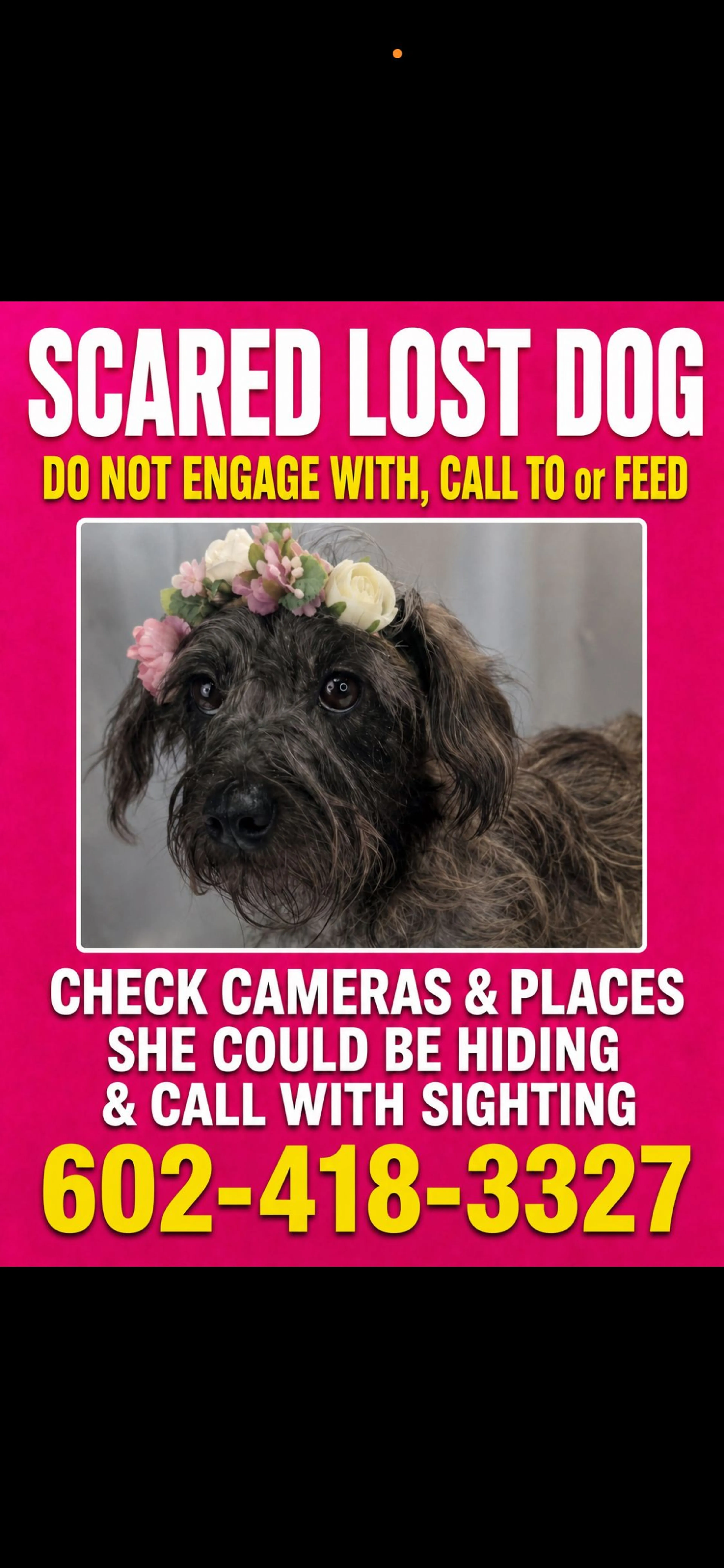 cdn image