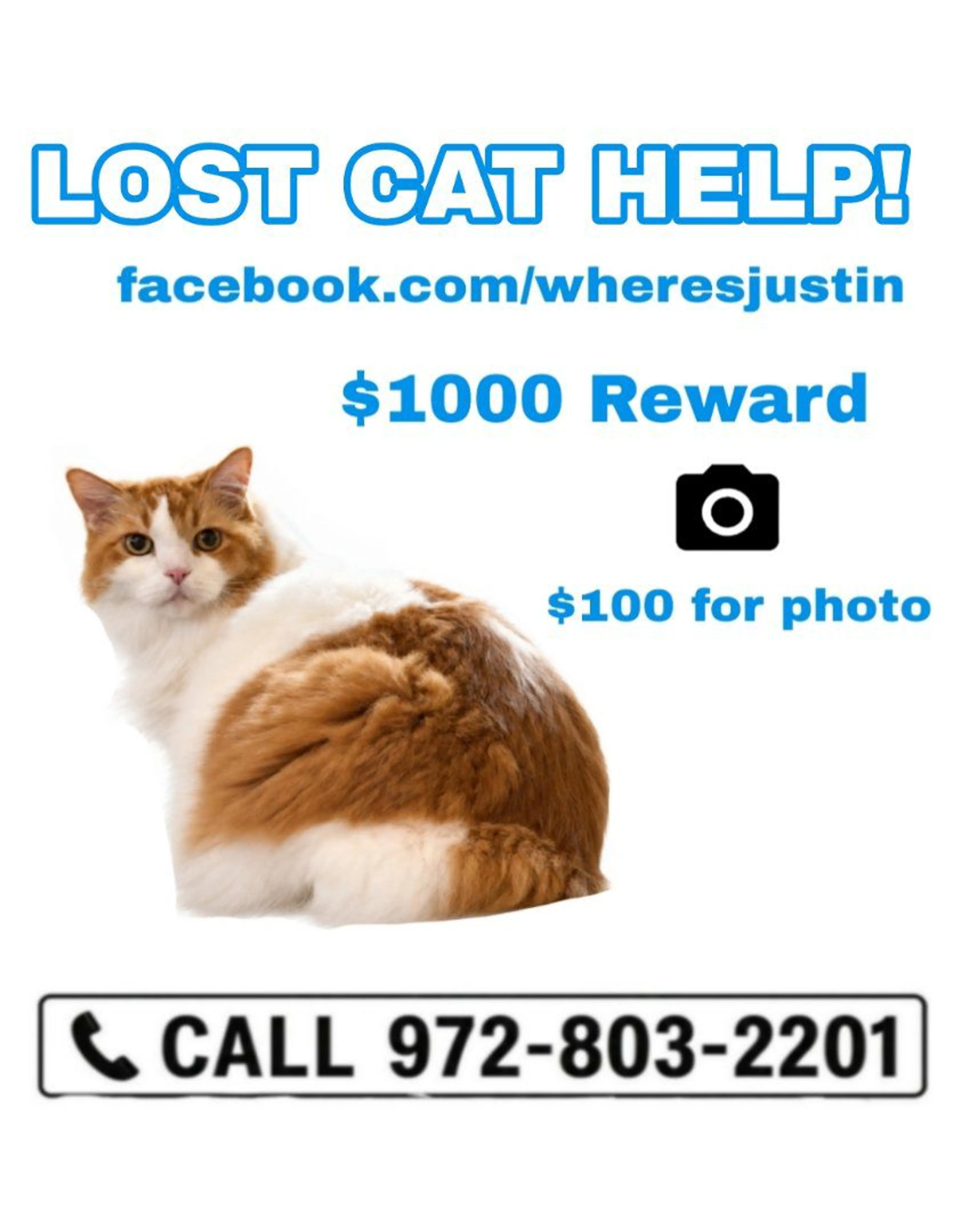 cdn image