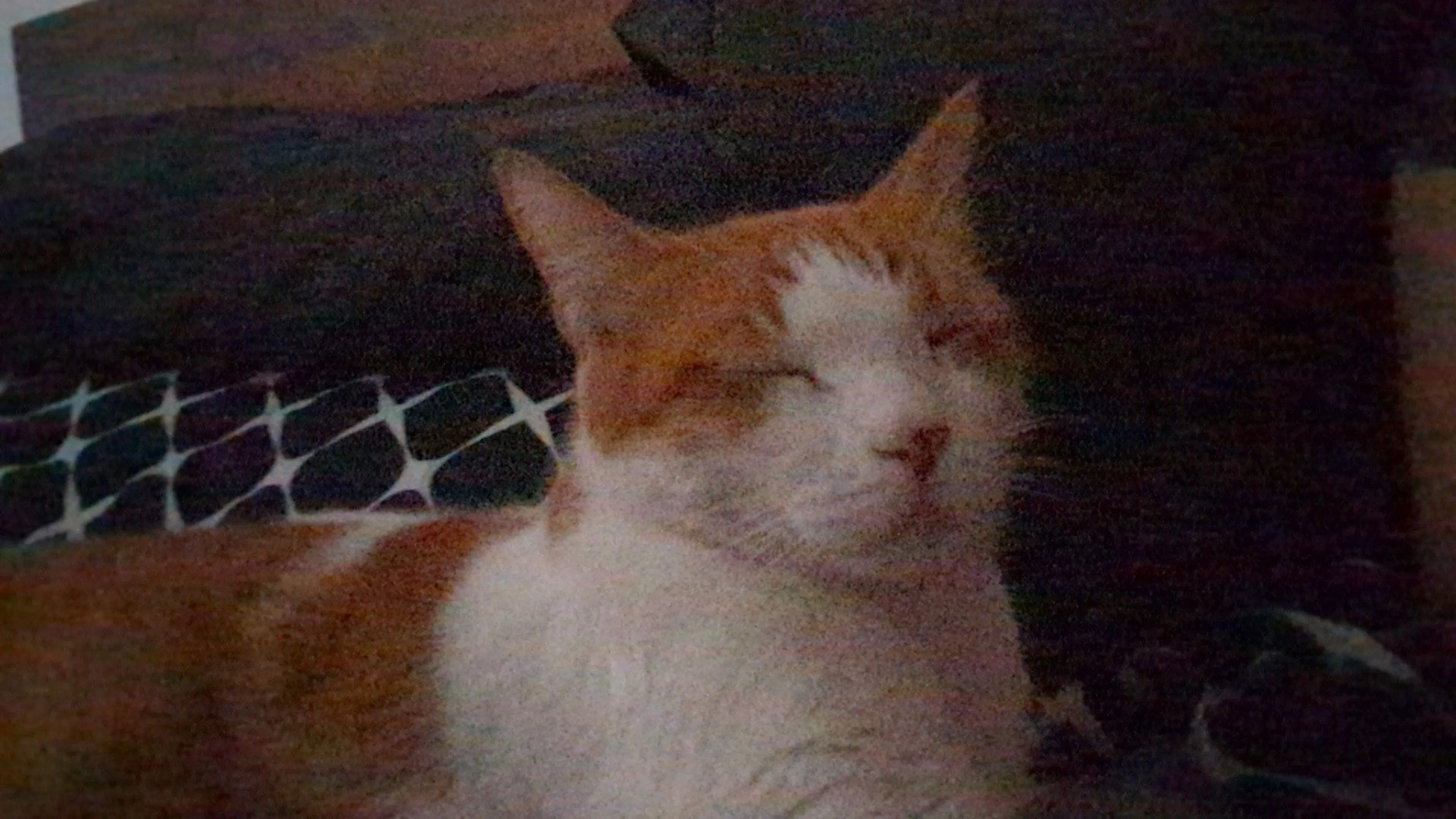 cdn image