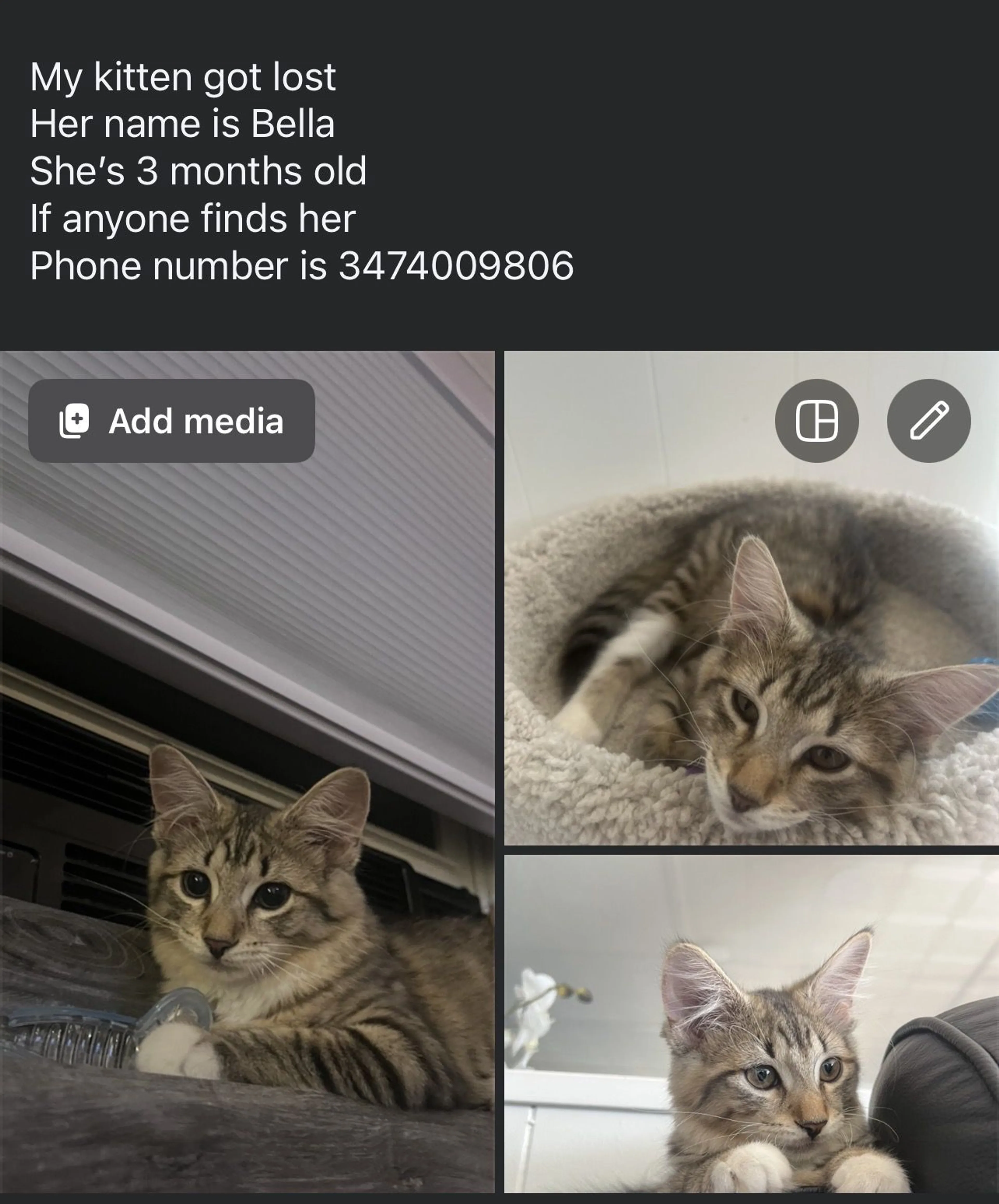 cdn image