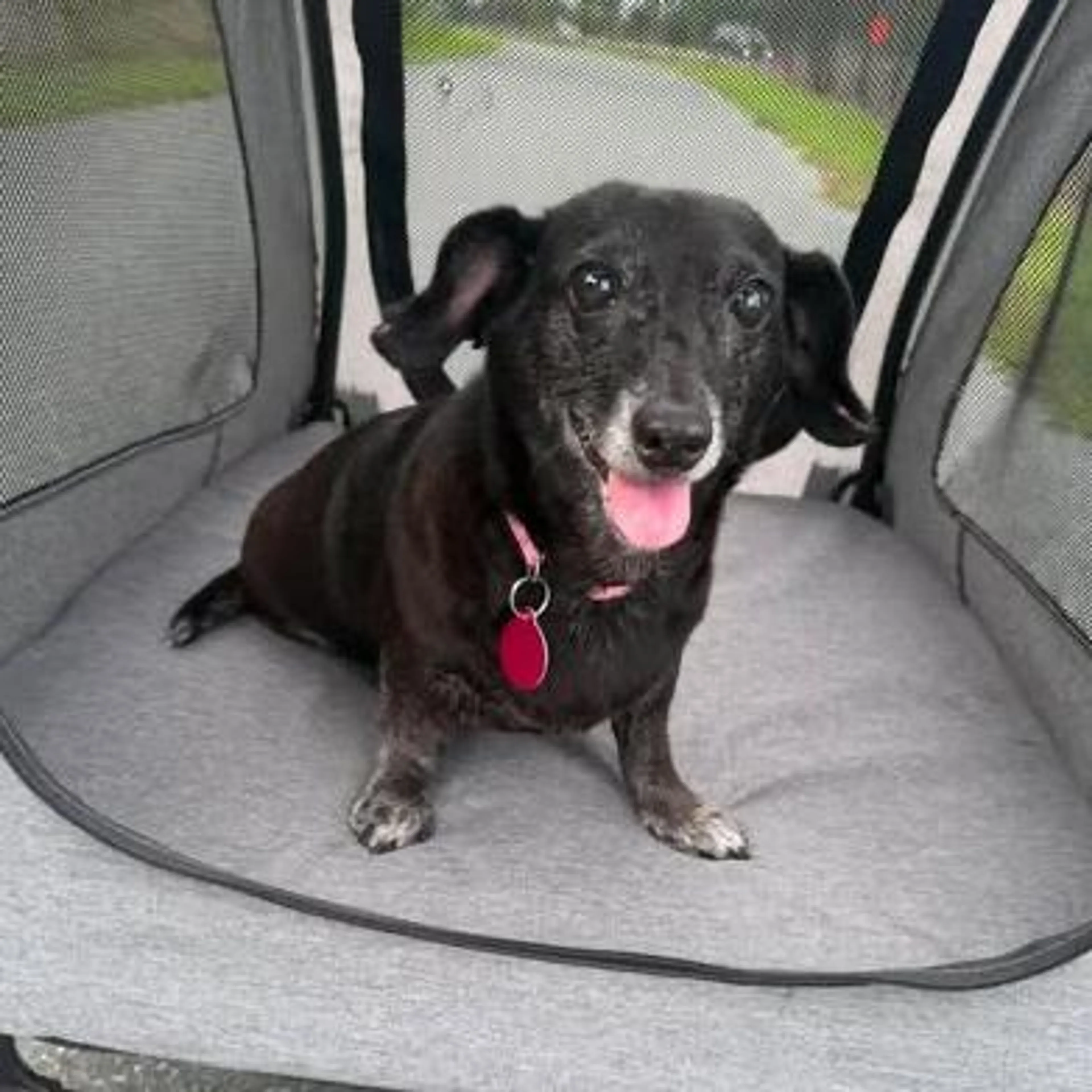 cdn image