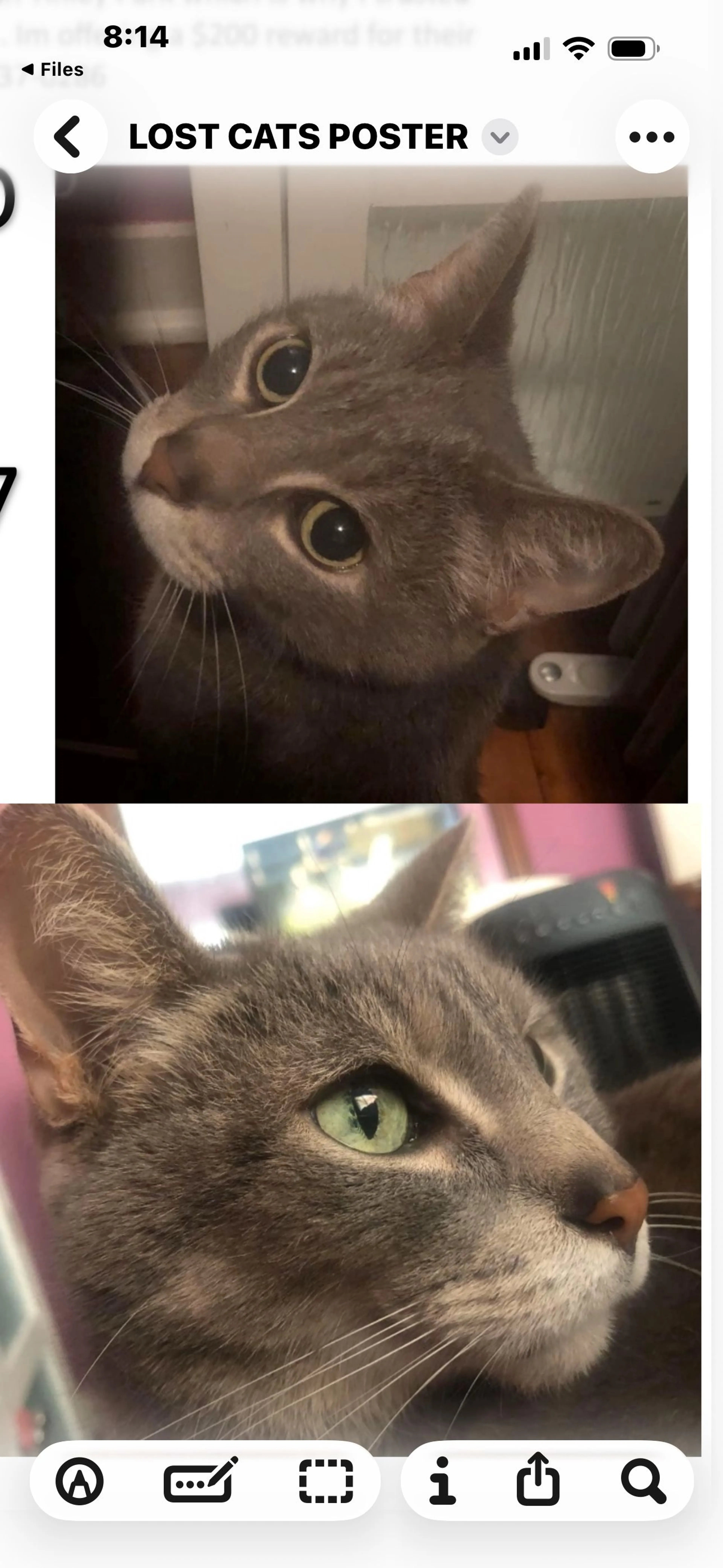 -4