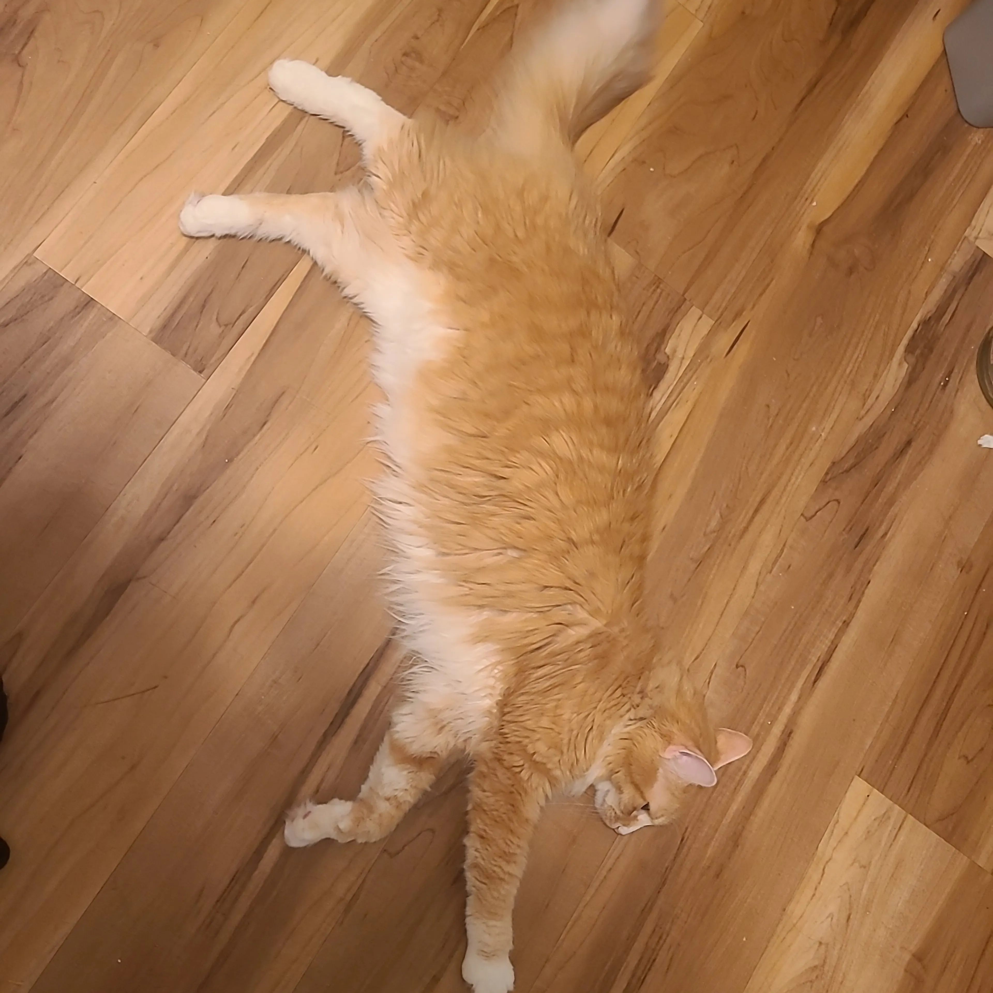 -2
