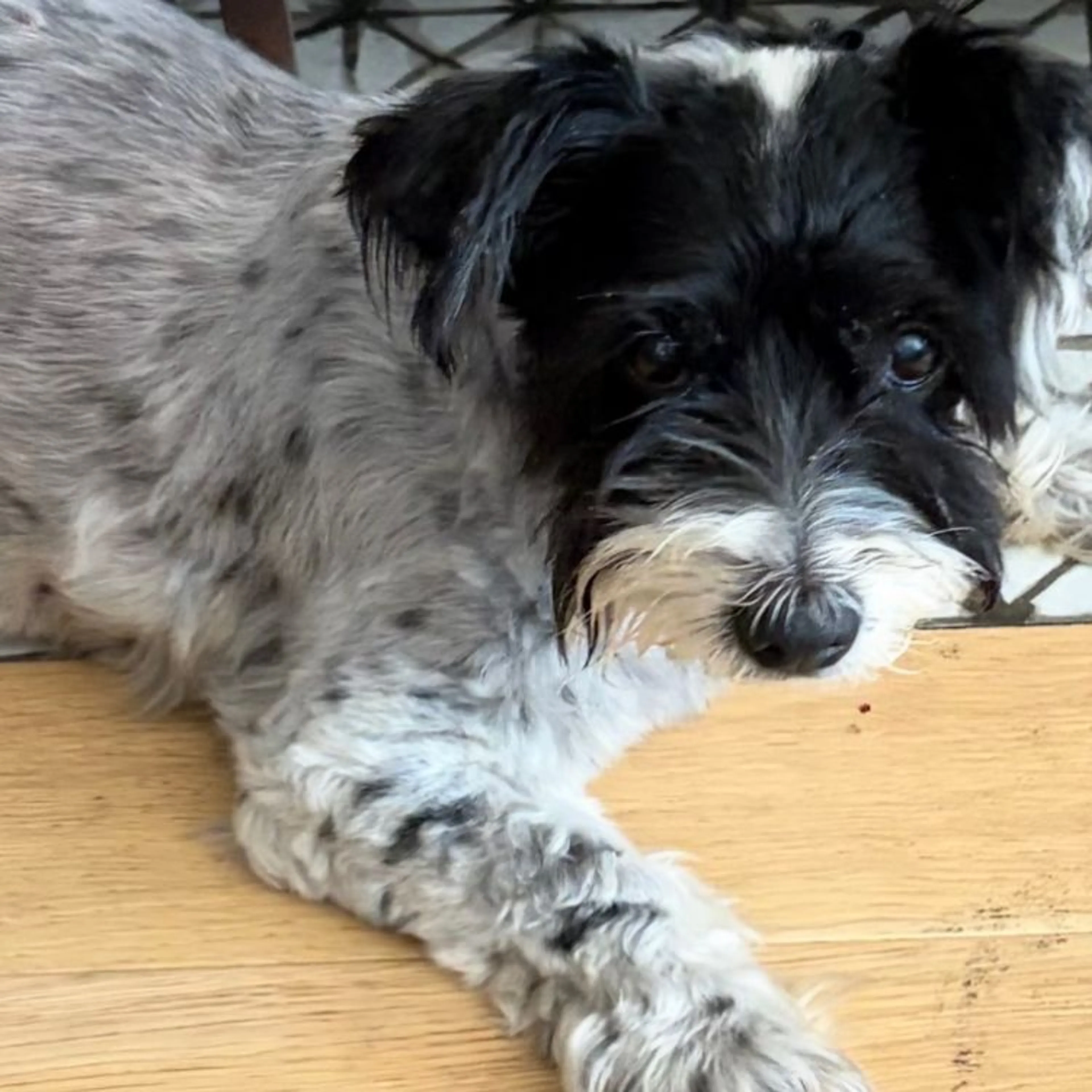 cdn image