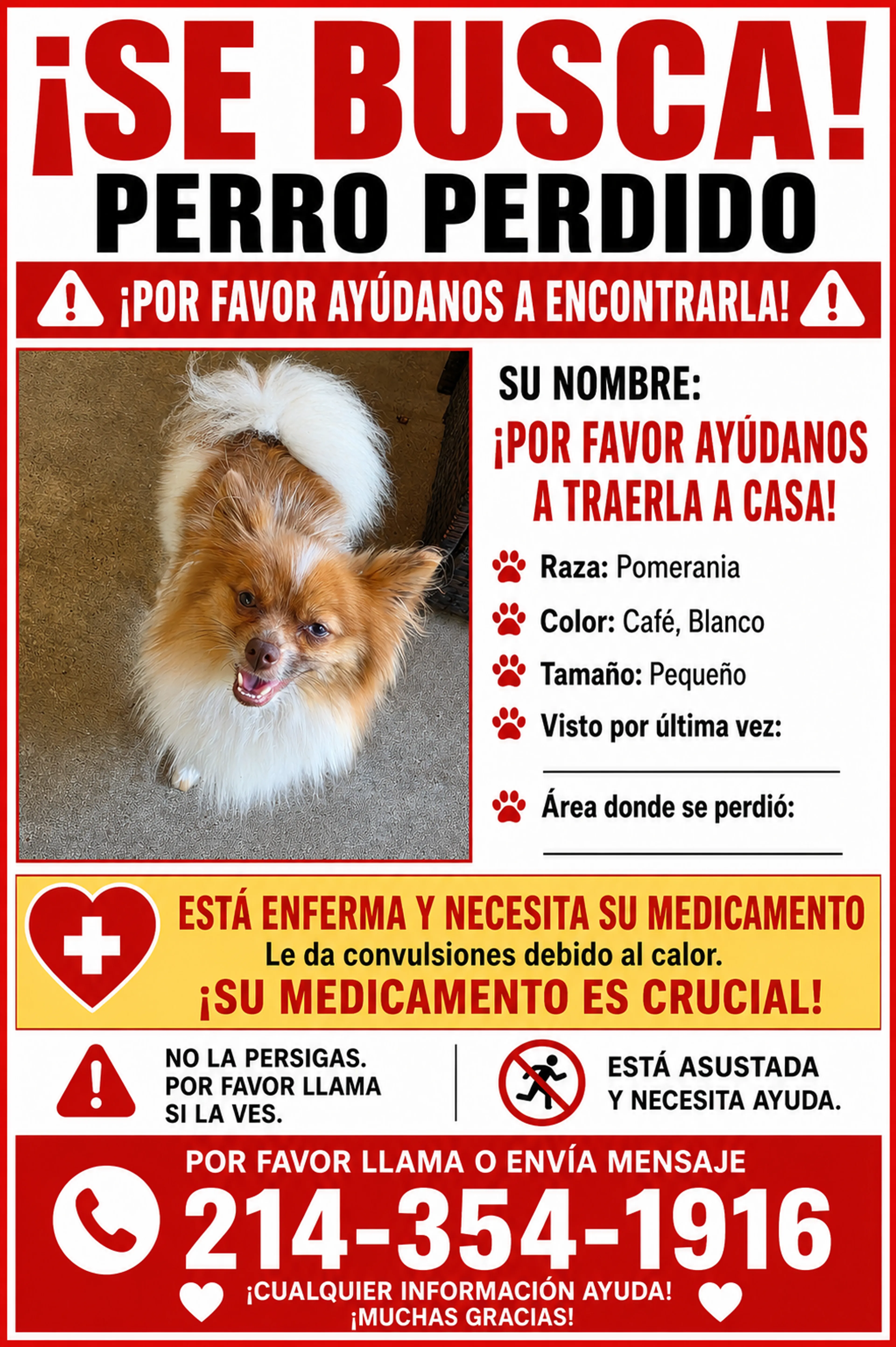 cdn image