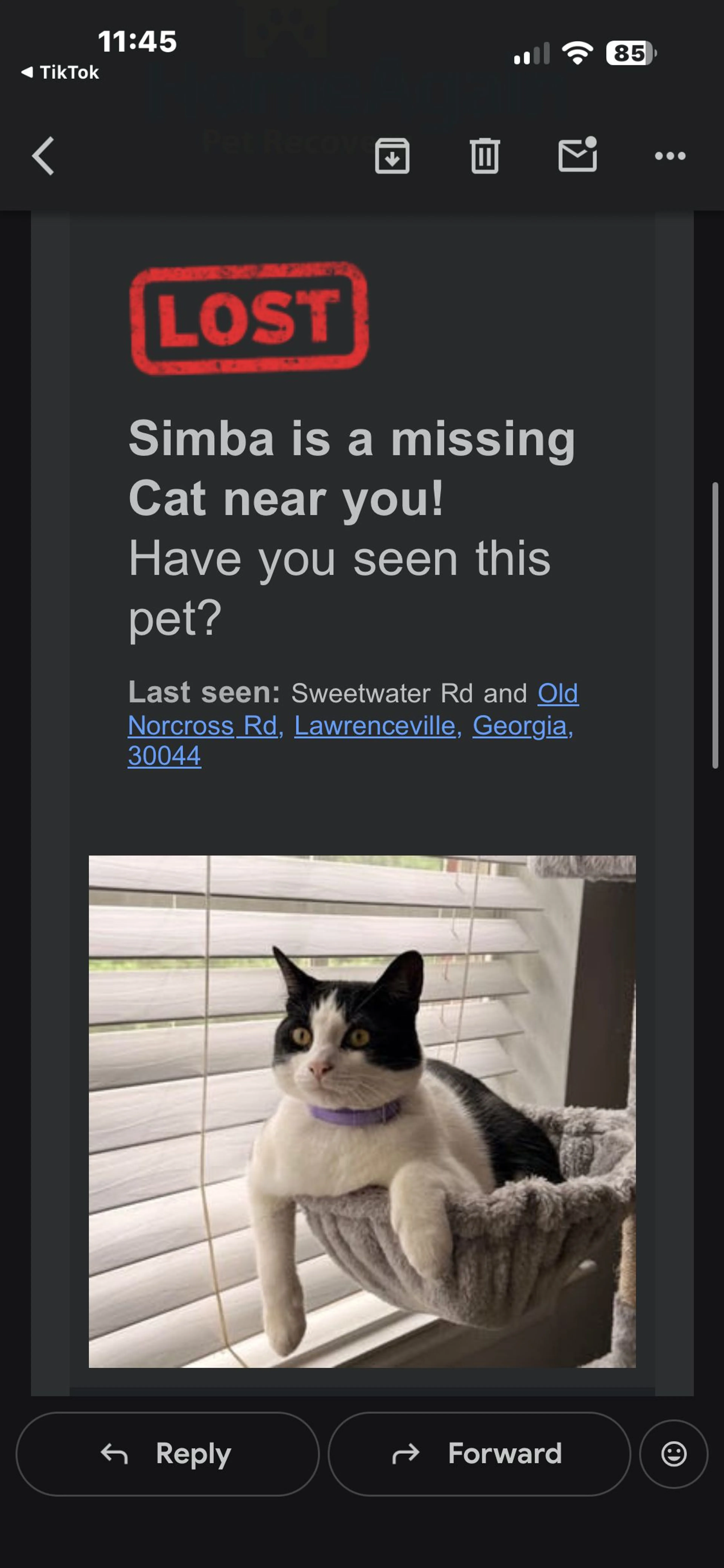 cdn image