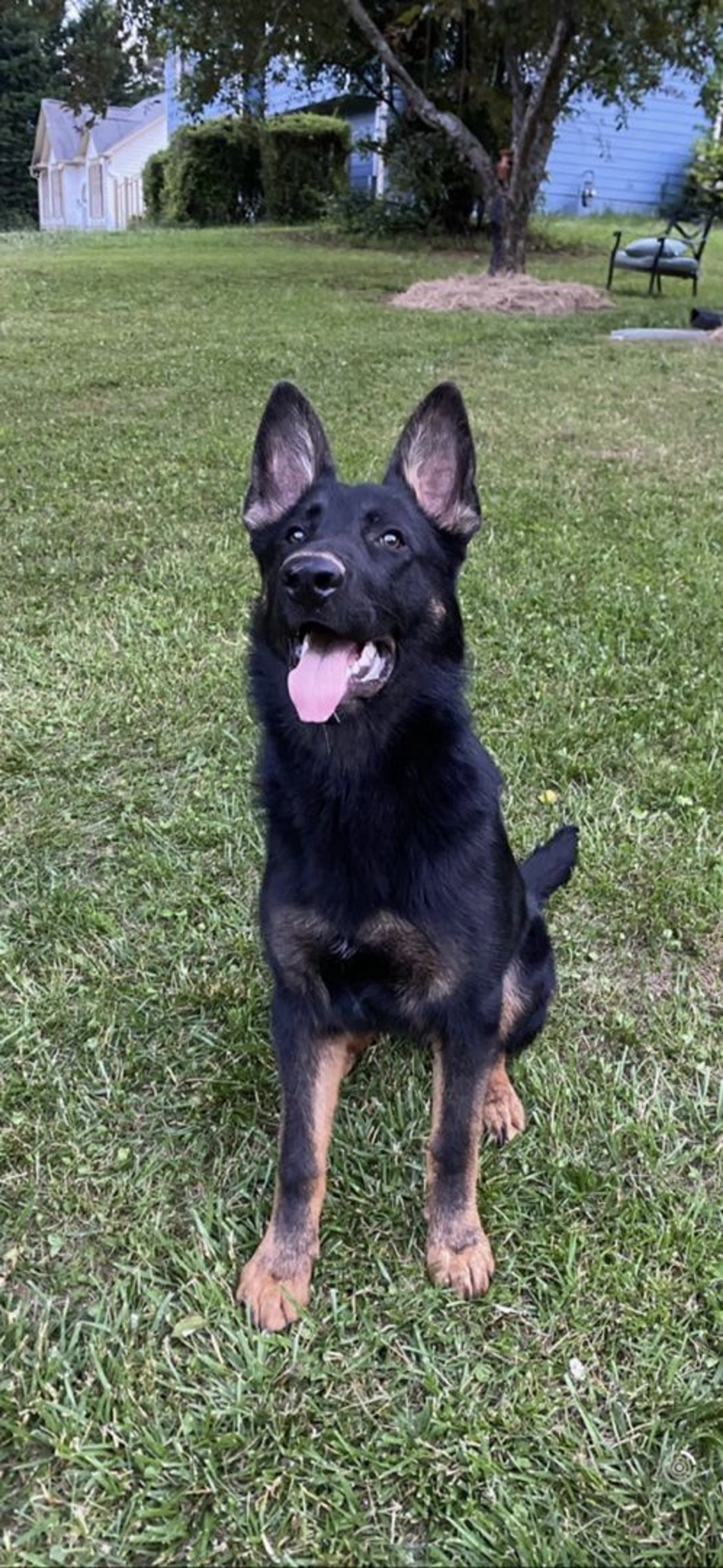cdn image