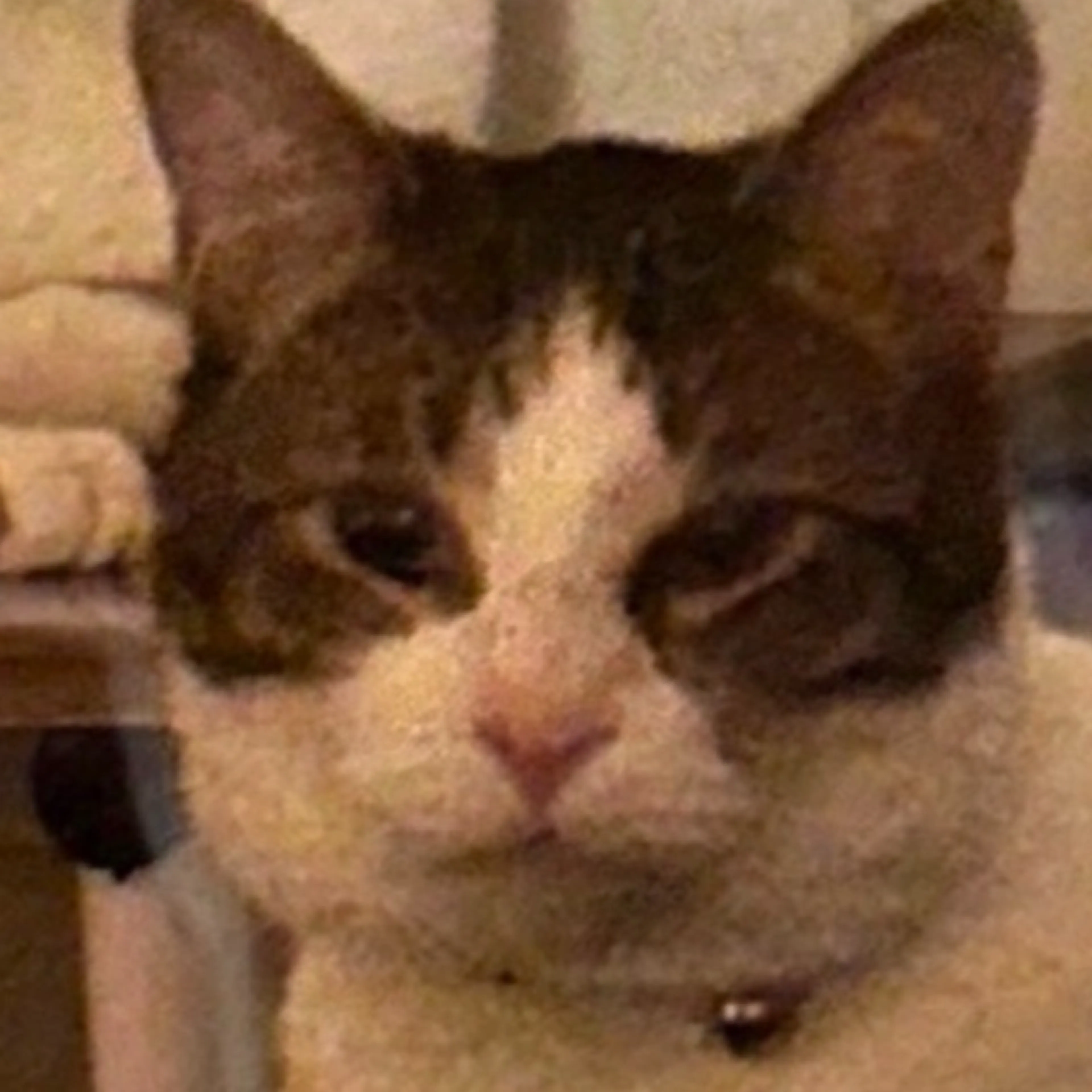 -2