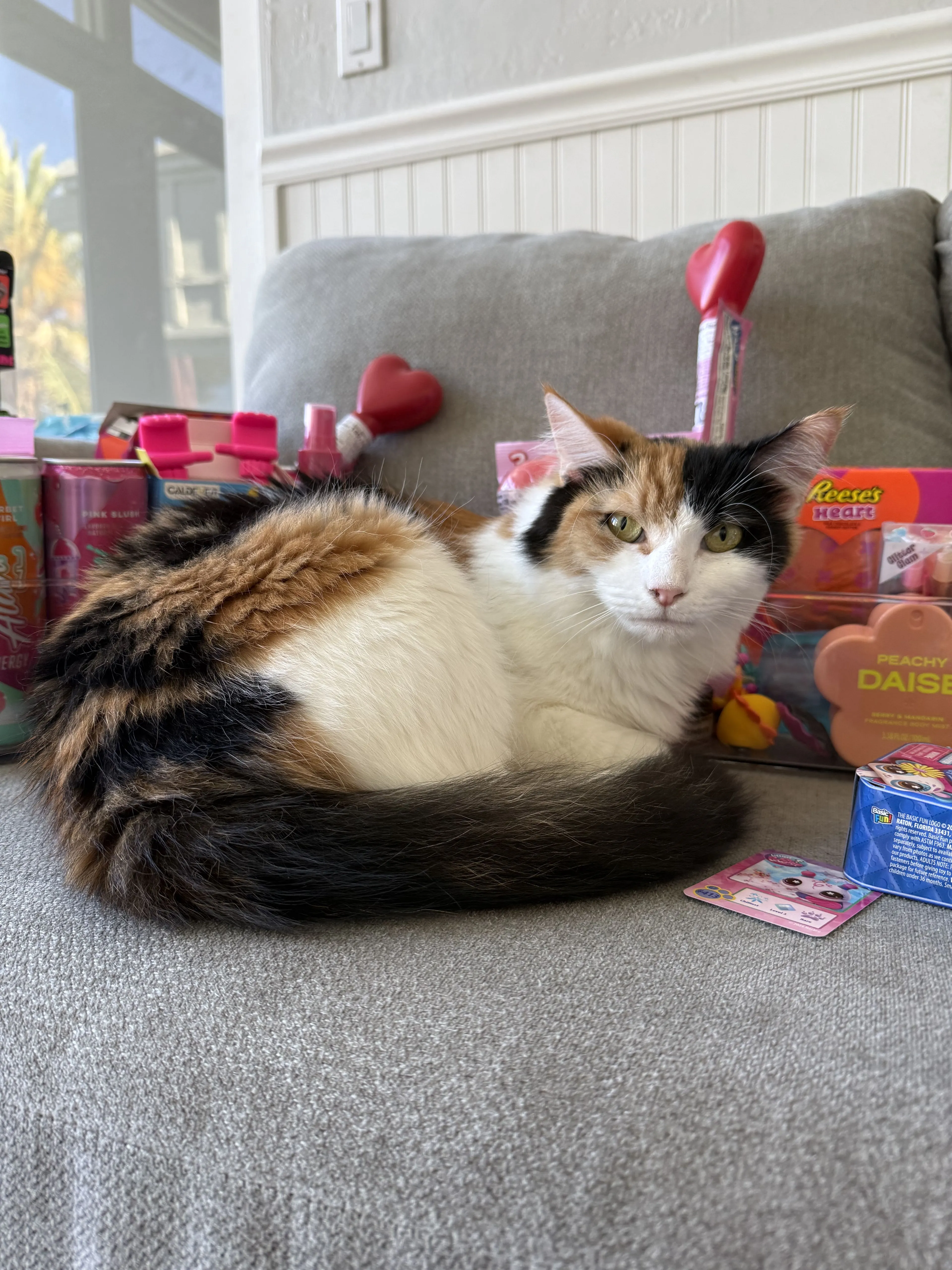cdn image