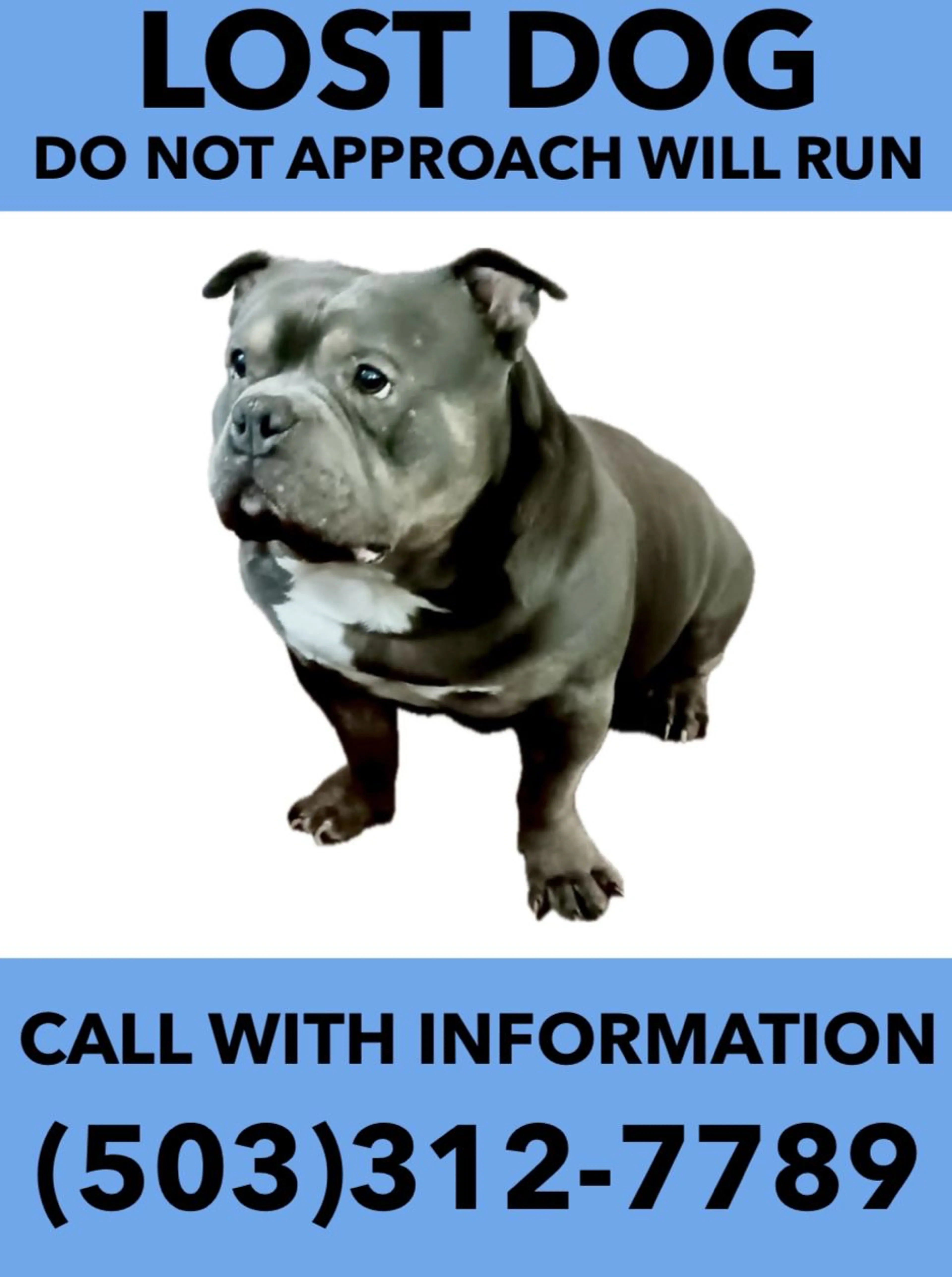 cdn image