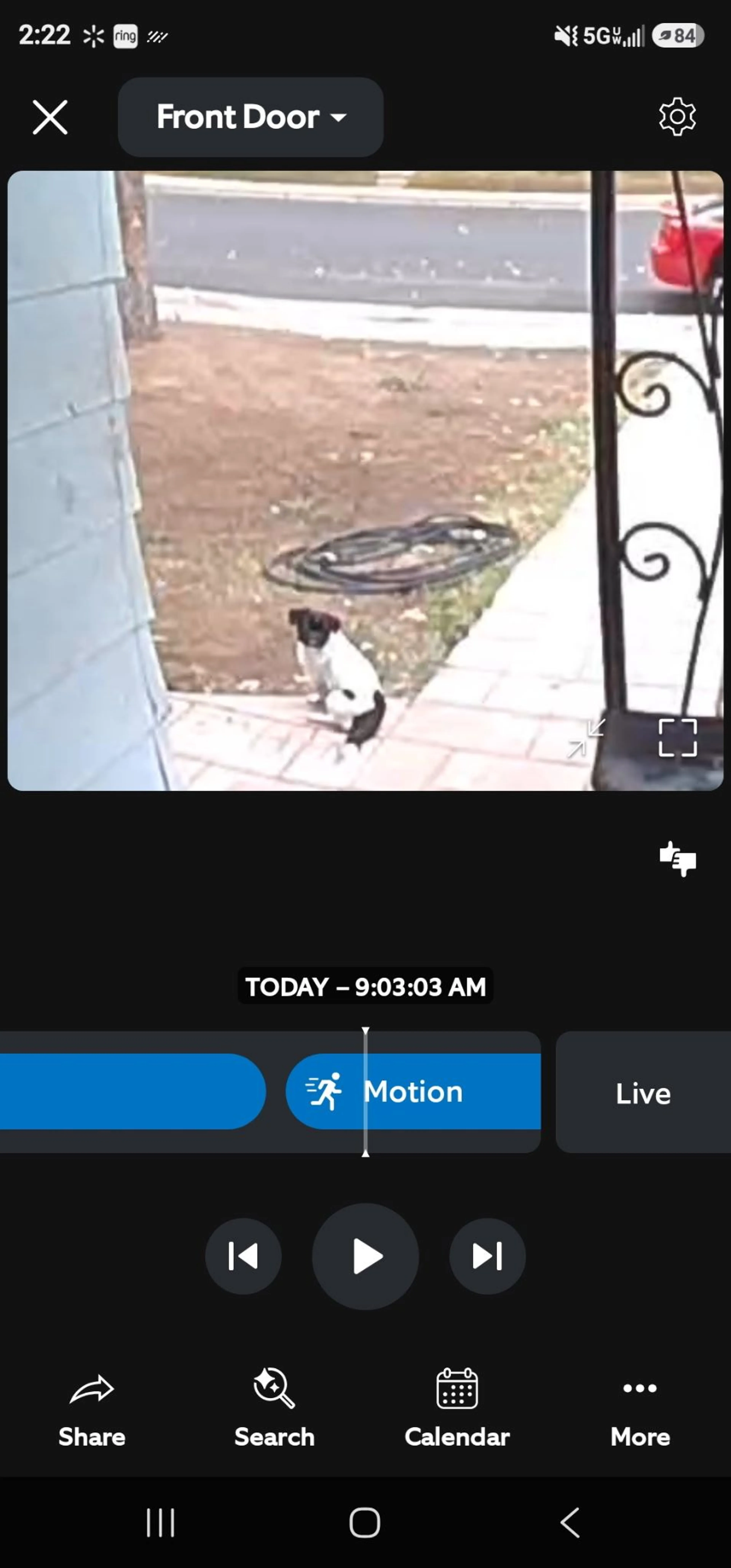 cdn image