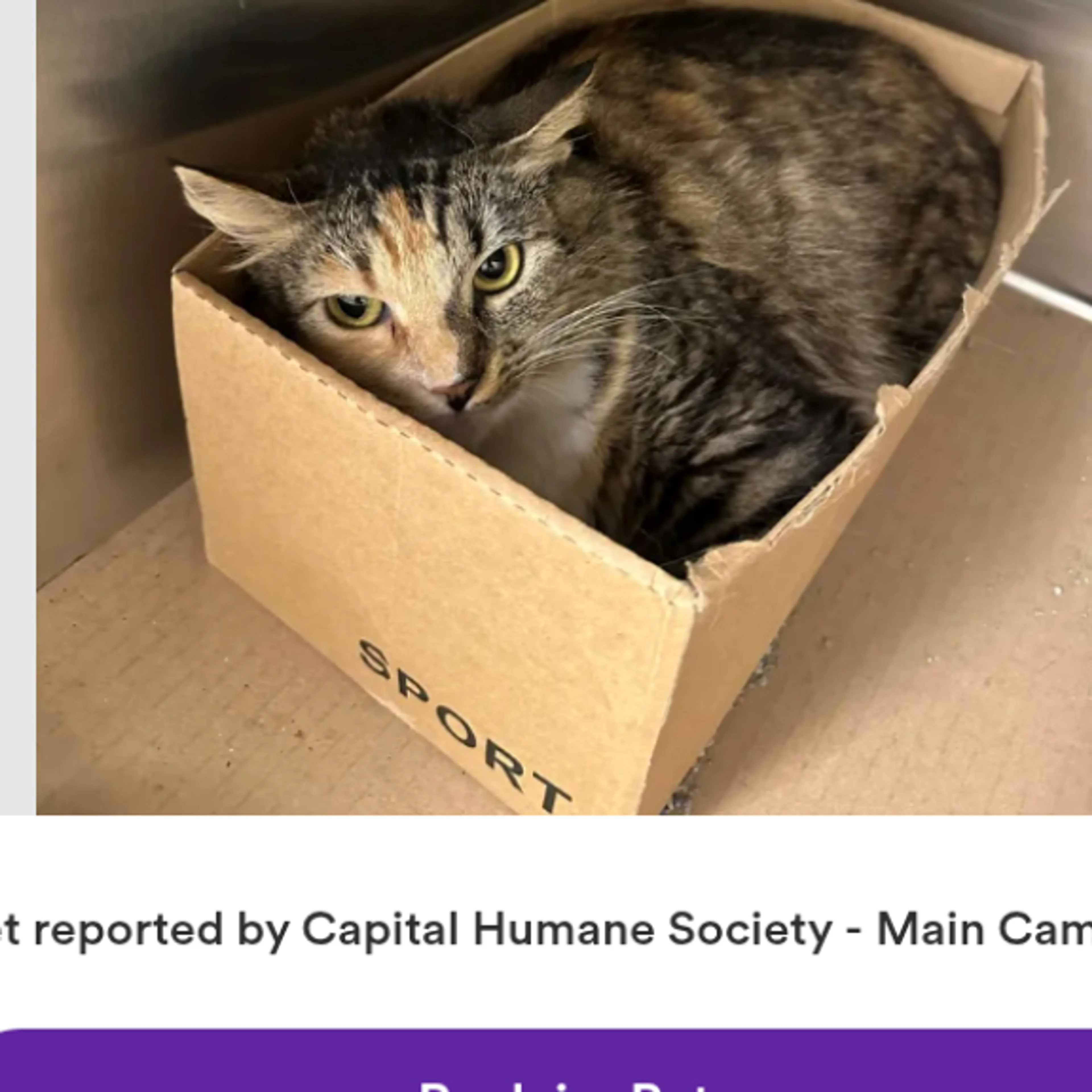 cdn image