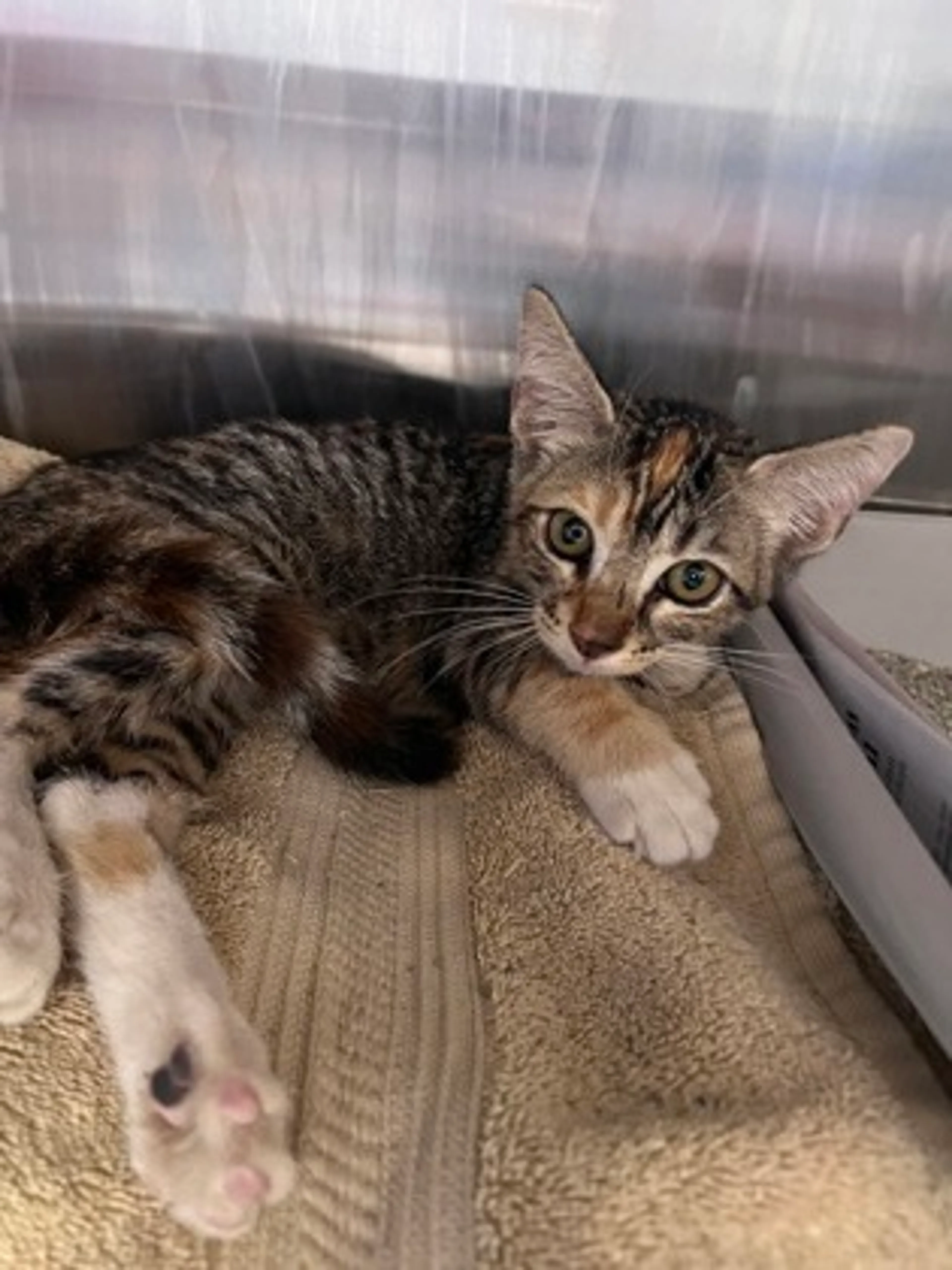 -1