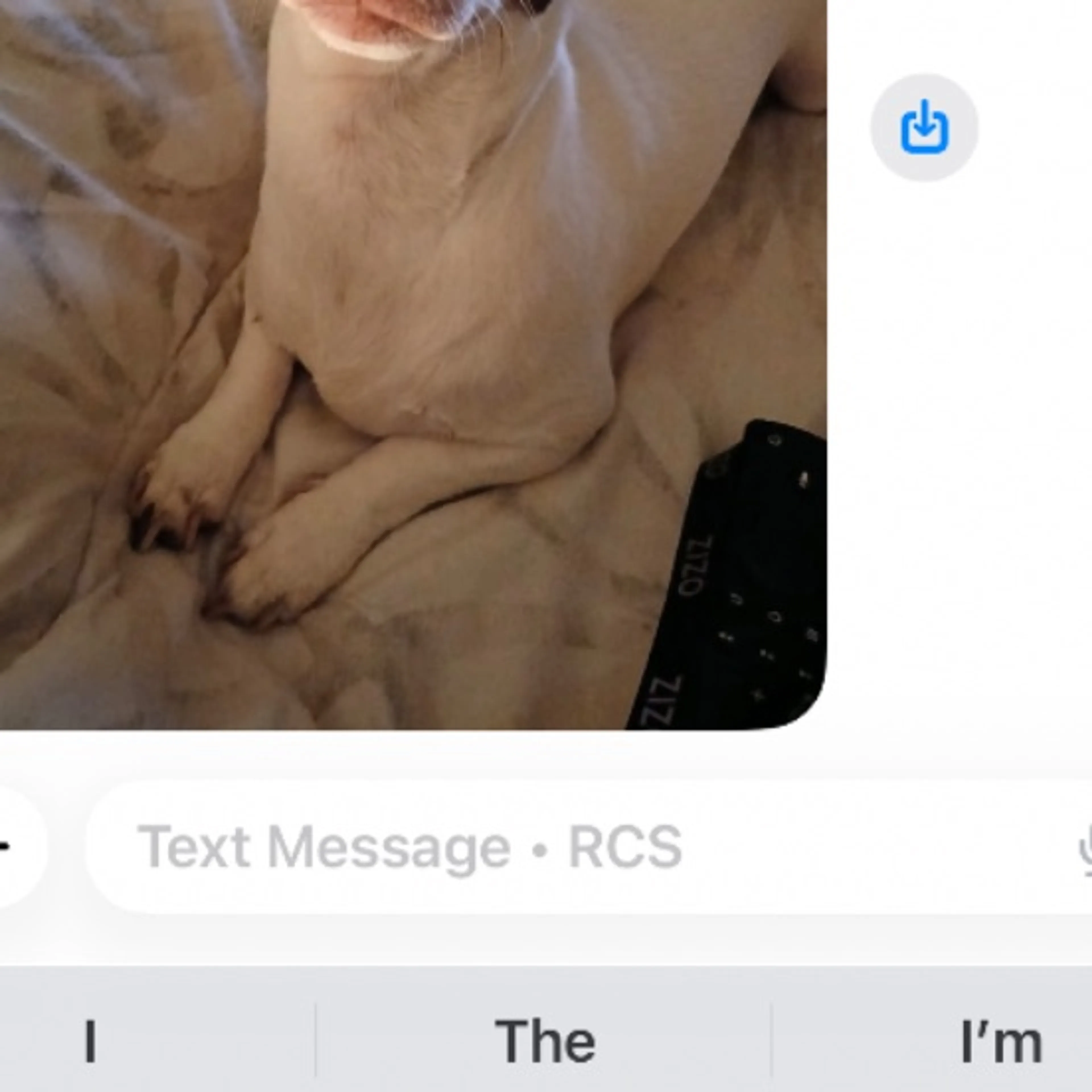cdn image