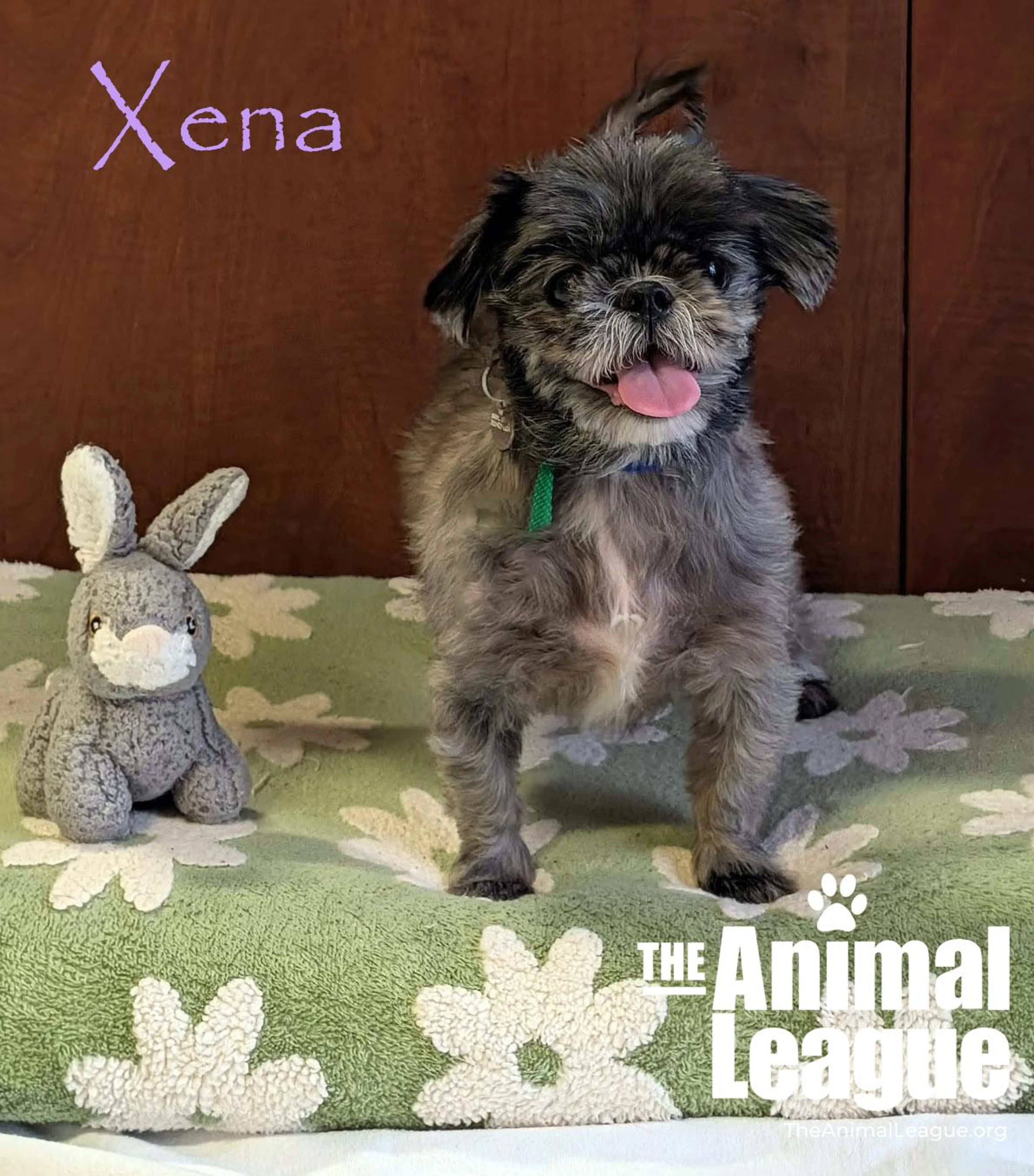 cdn image