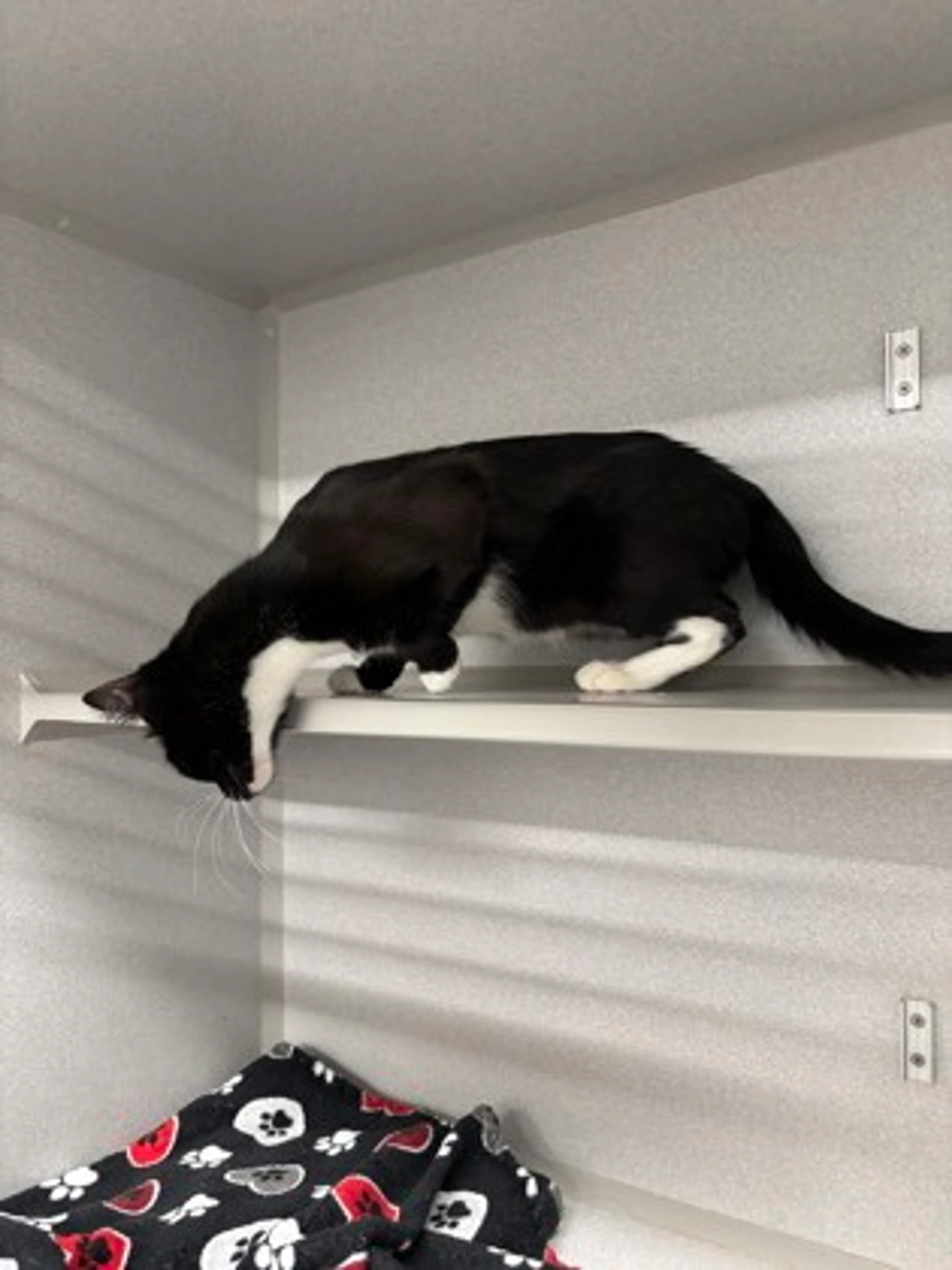 -1