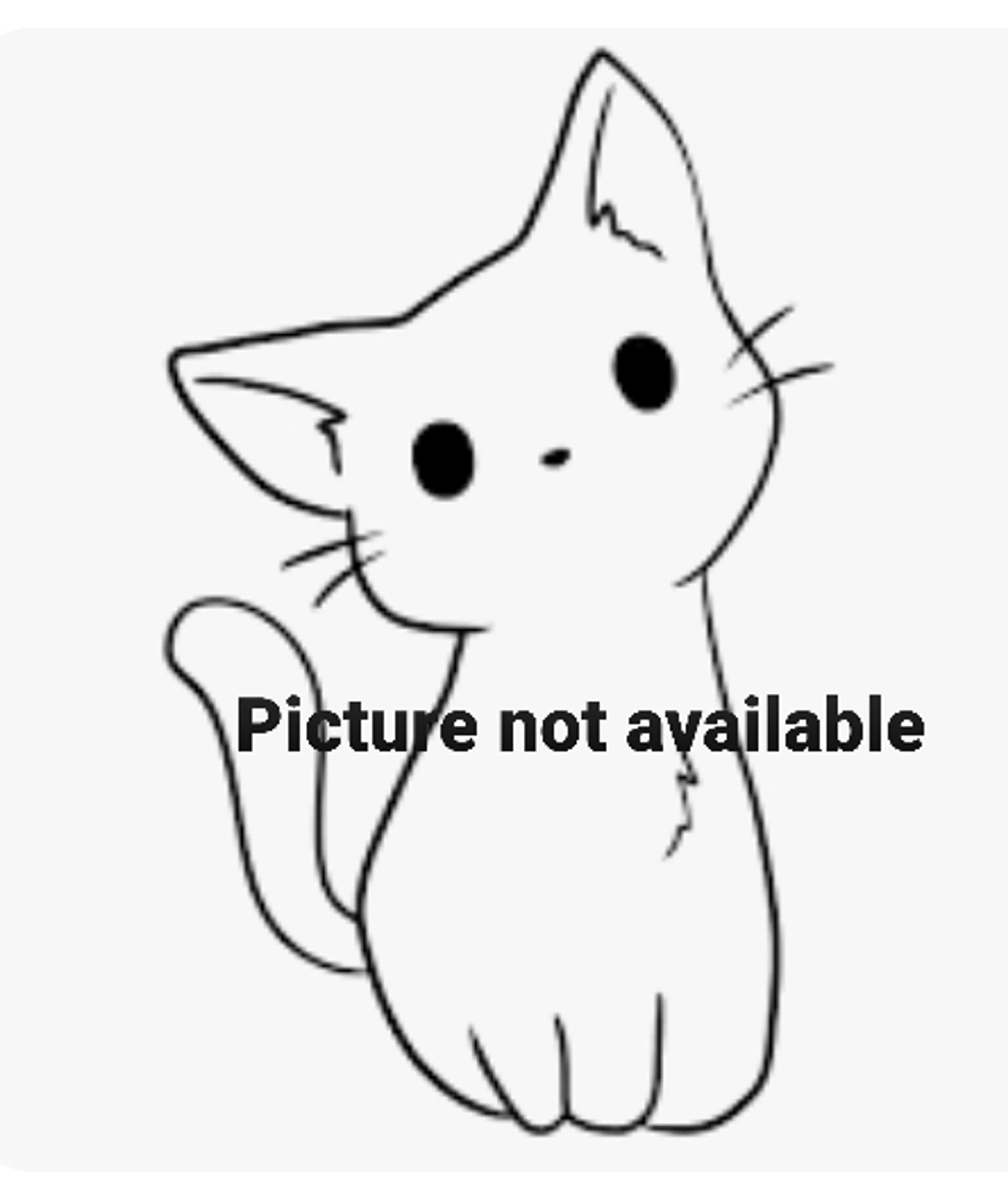 cdn image
