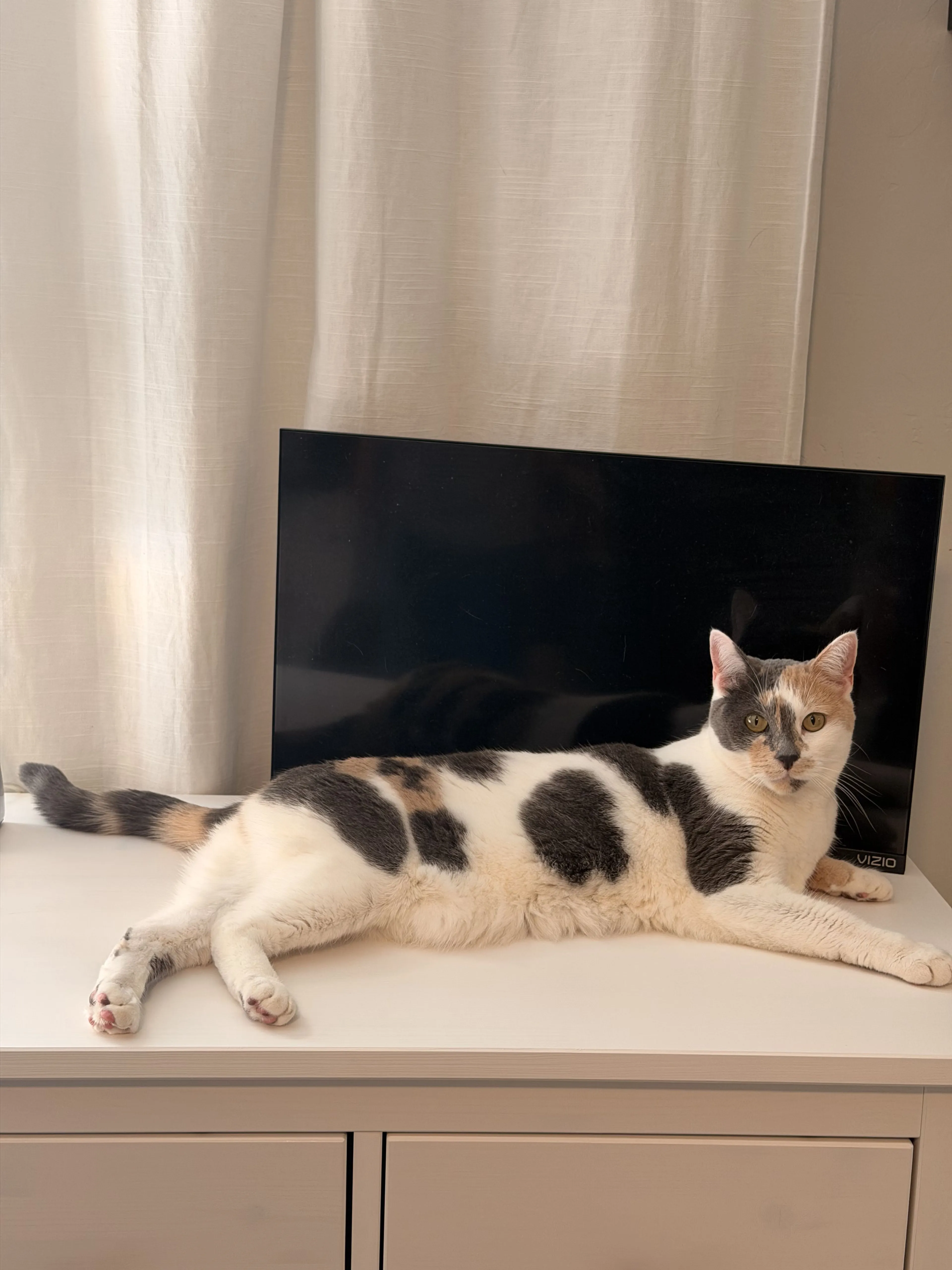 cdn image