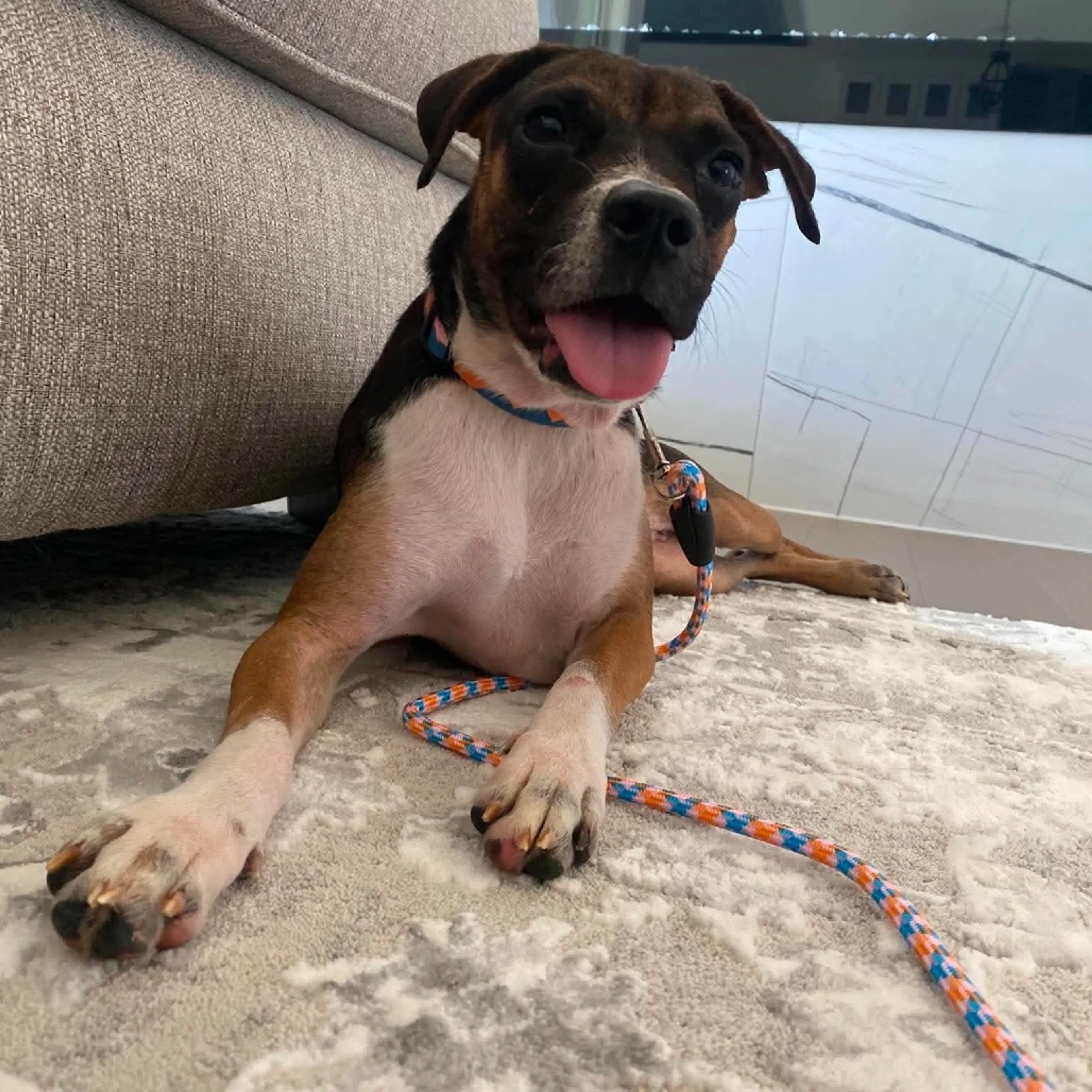 cdn image