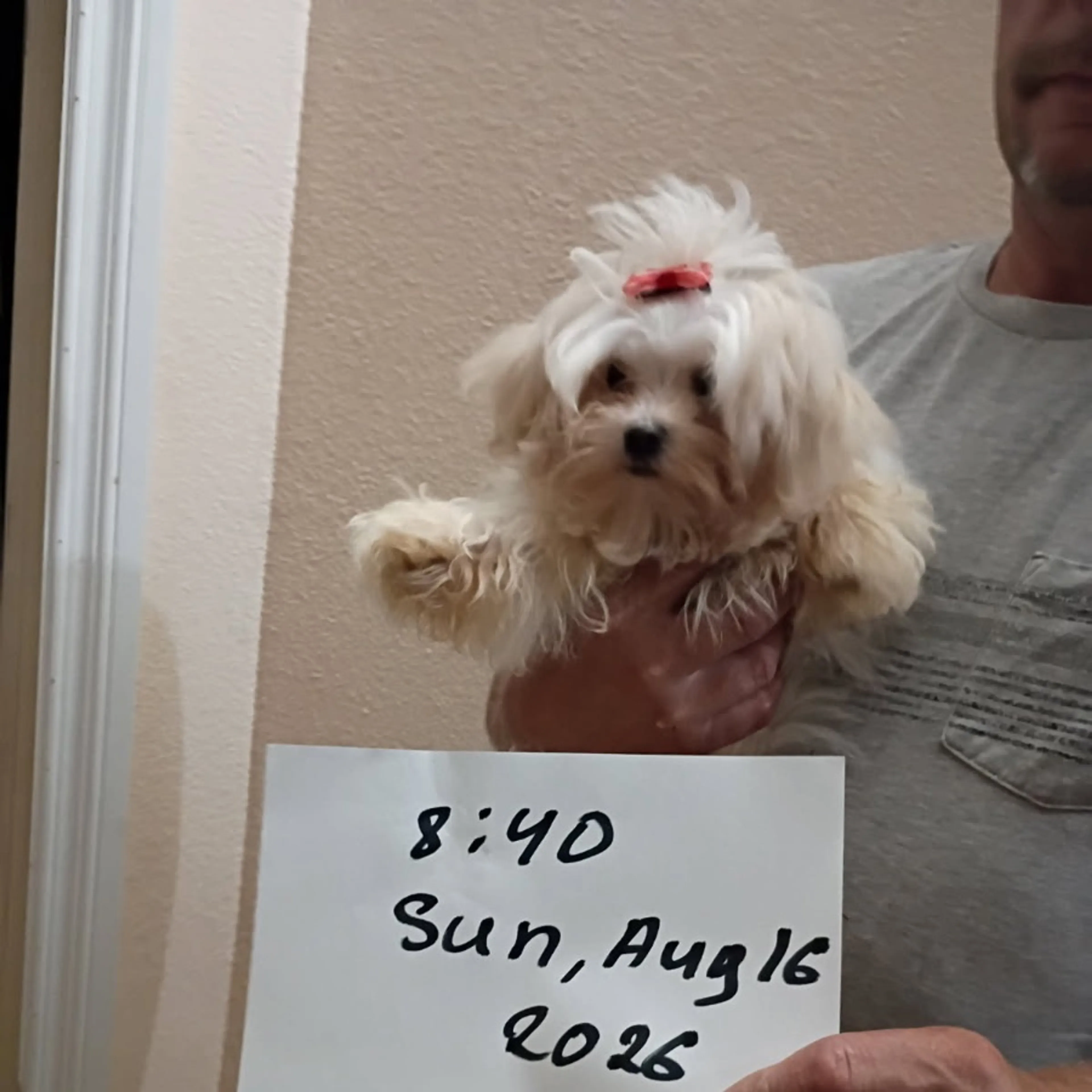 cdn image