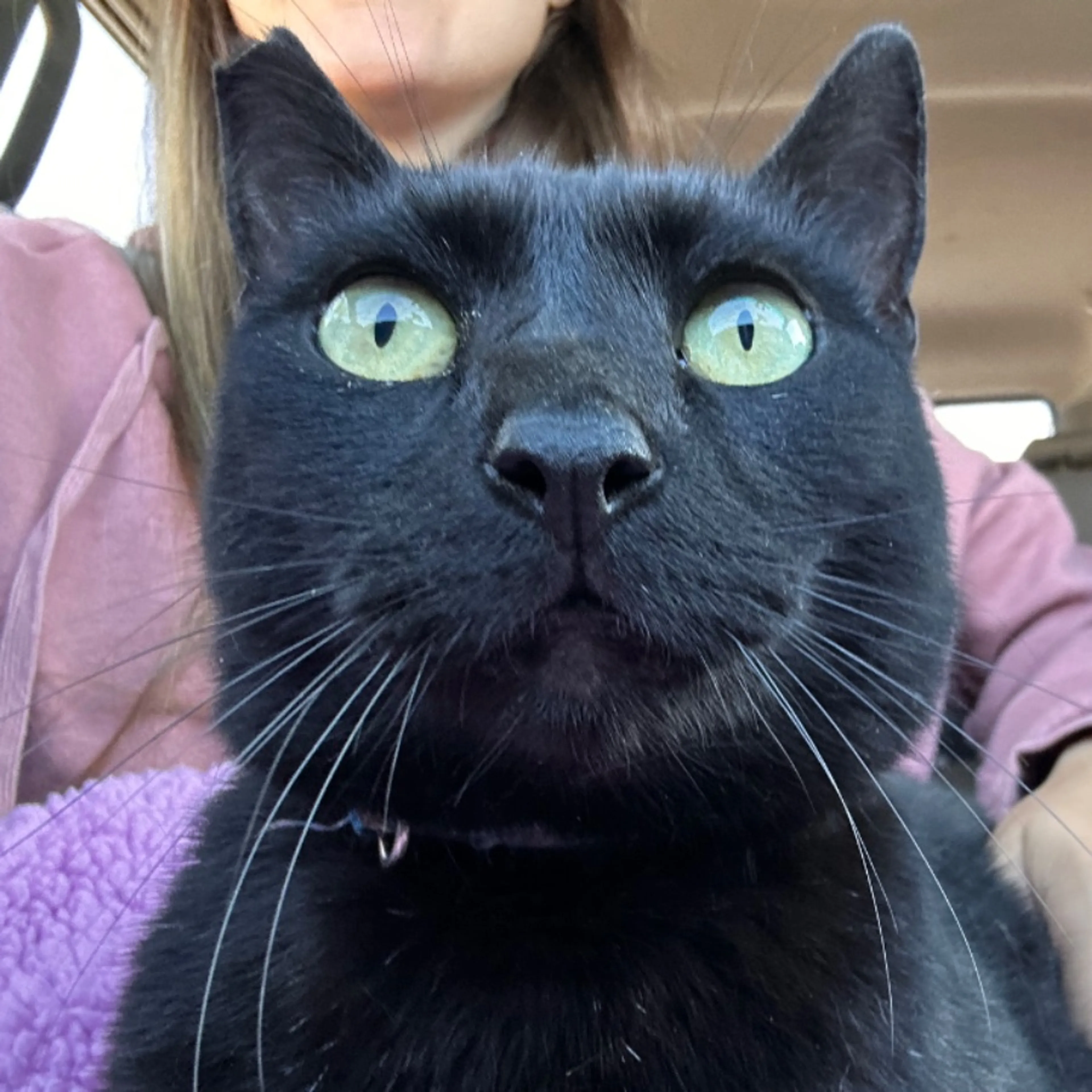 cdn image