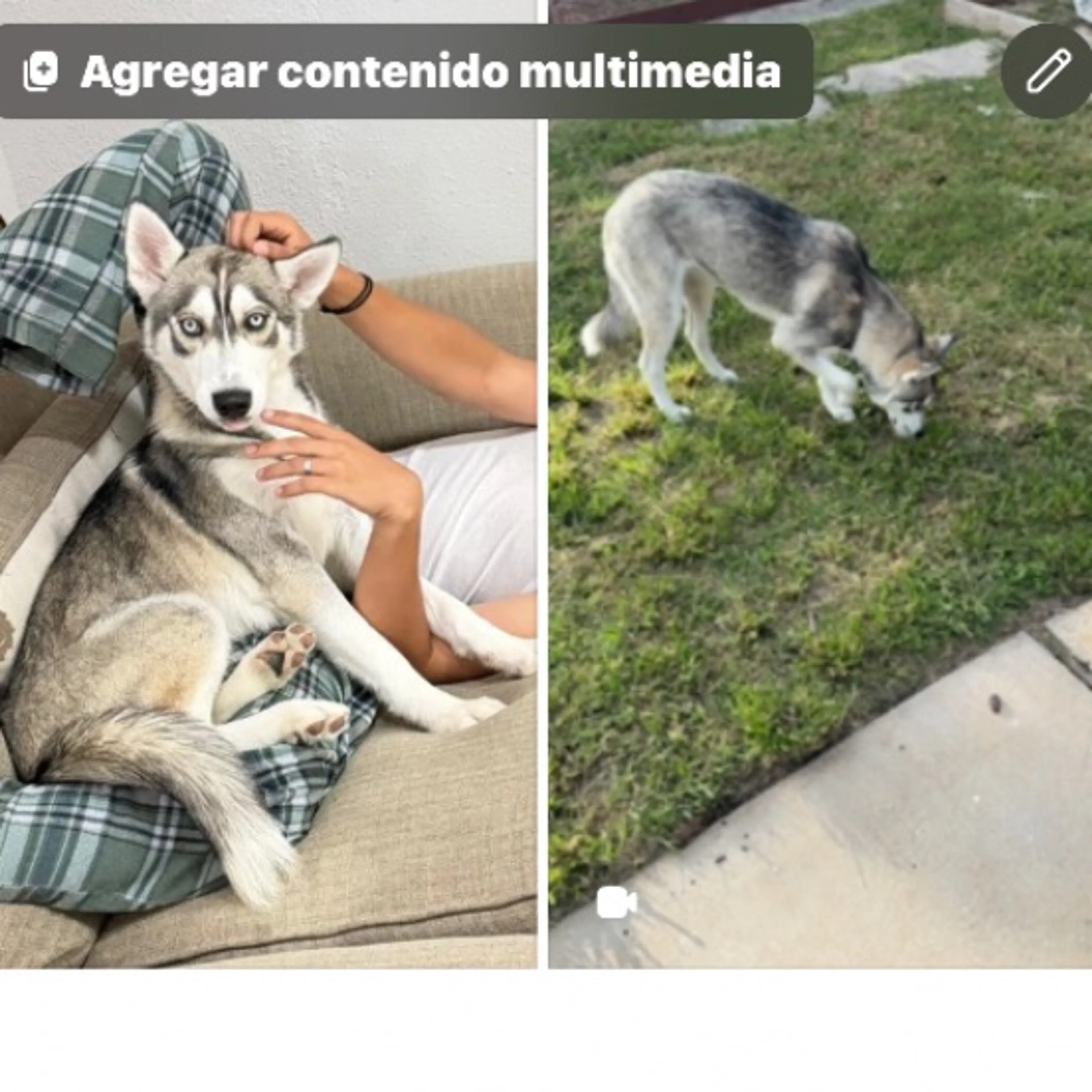 cdn image