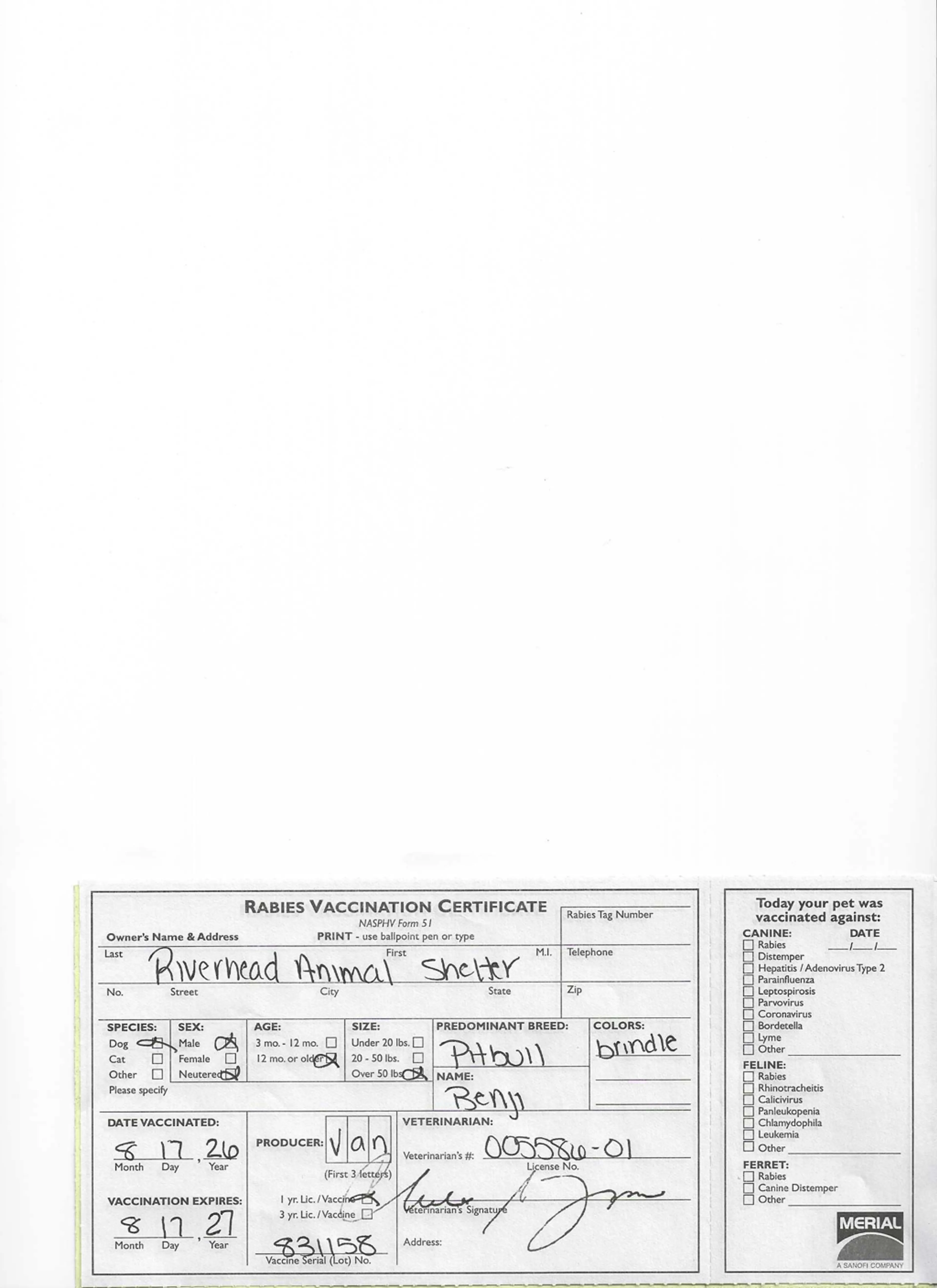 cdn image