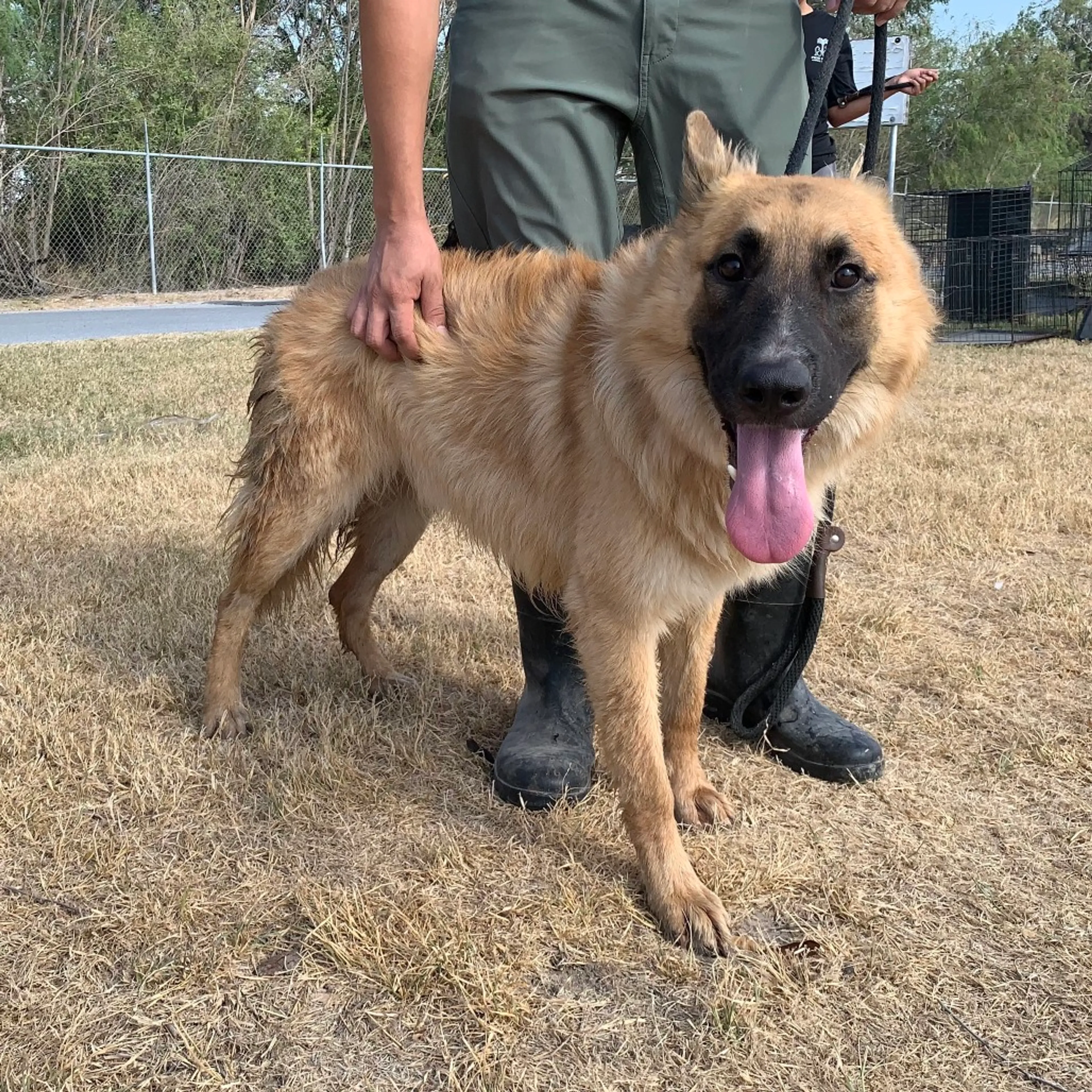 cdn image