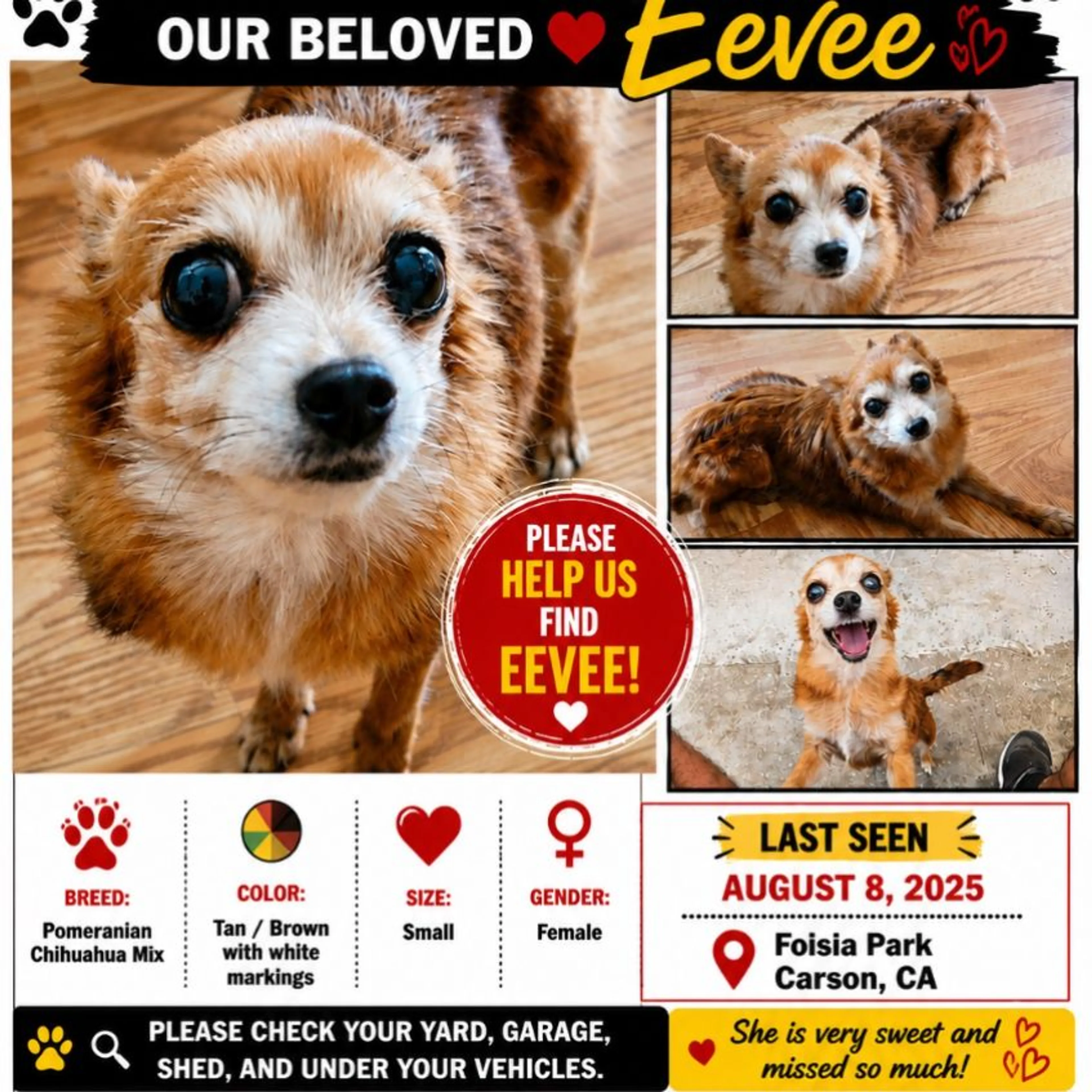 cdn image