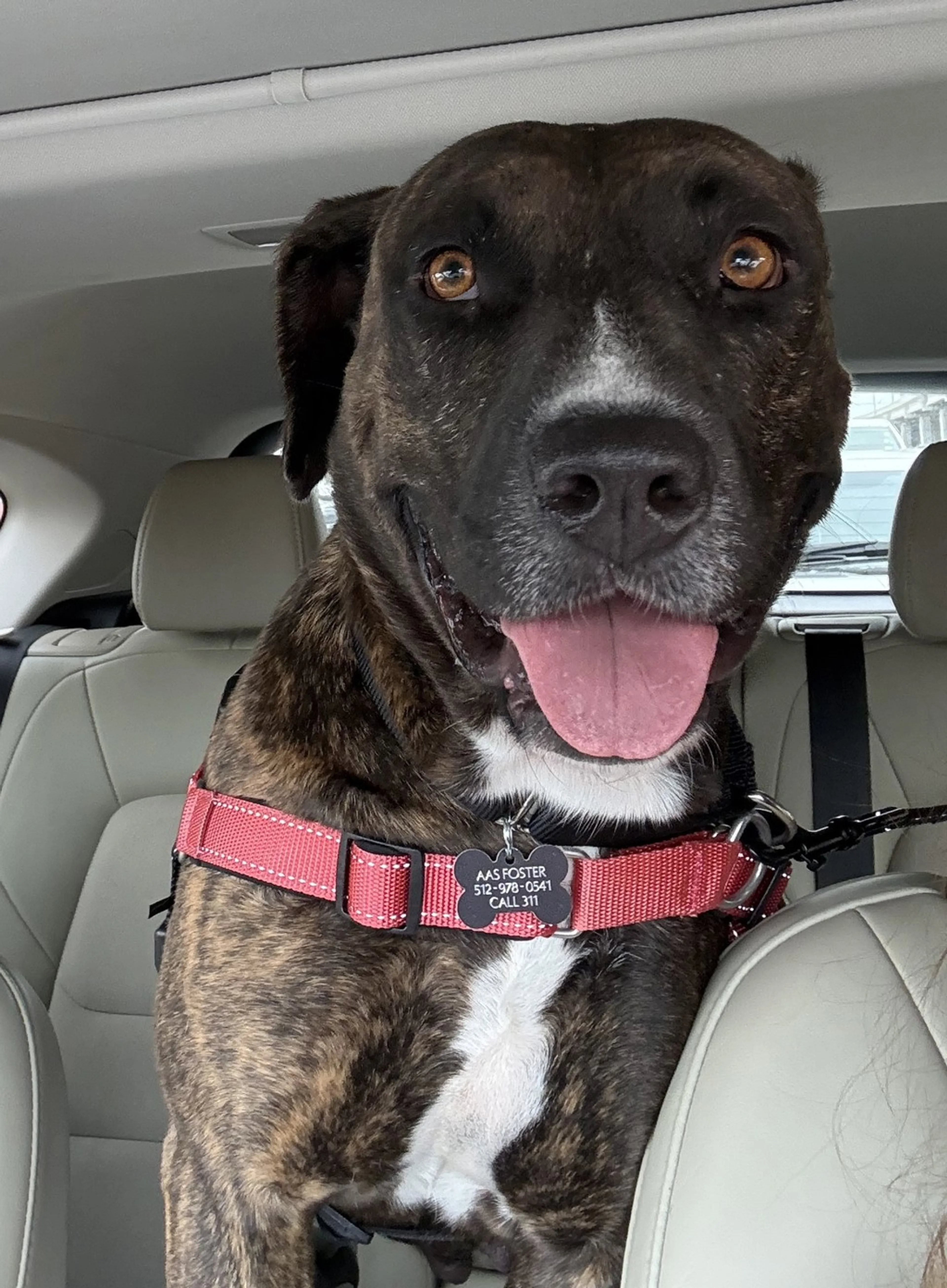 cdn image