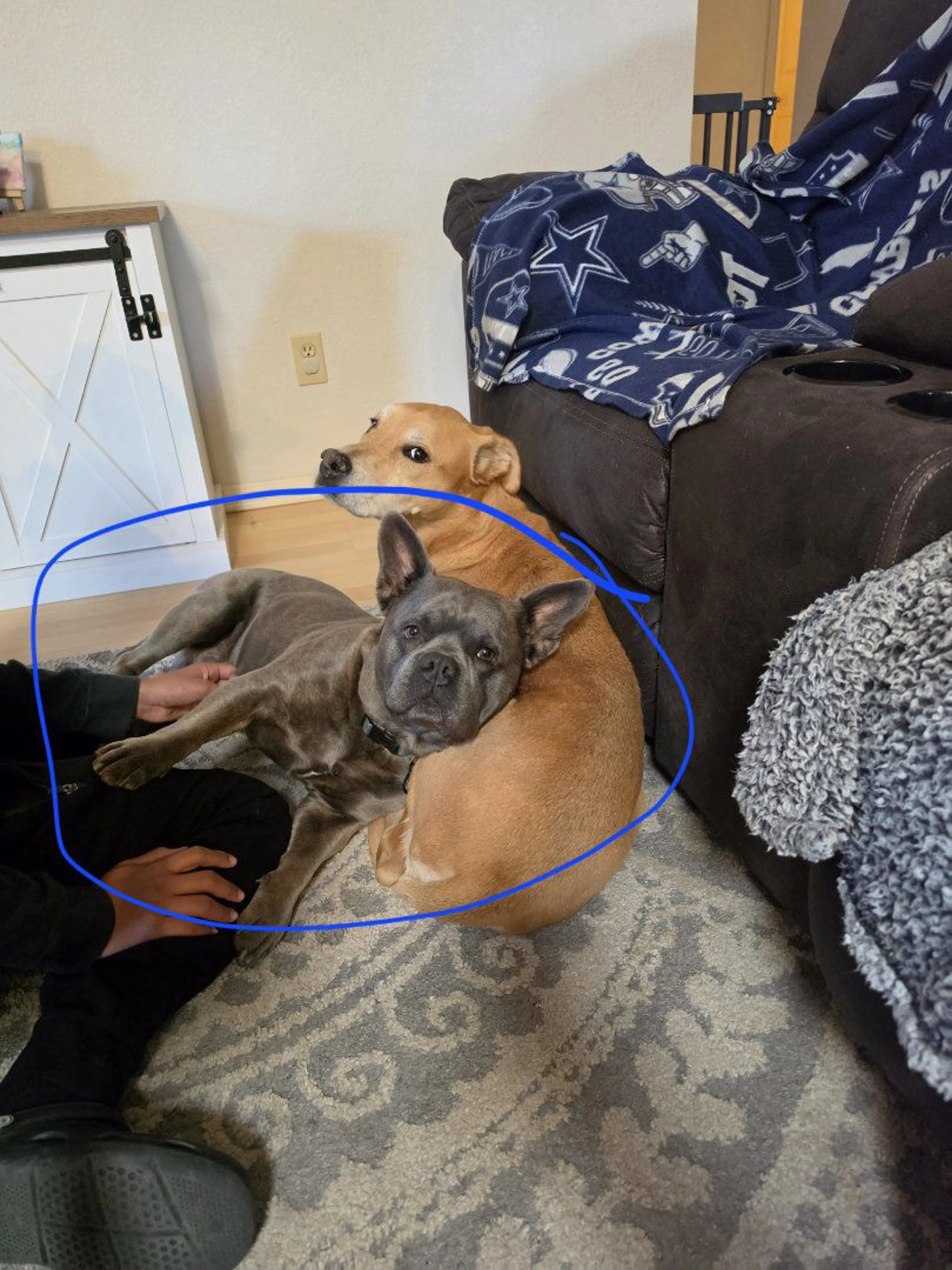 cdn image