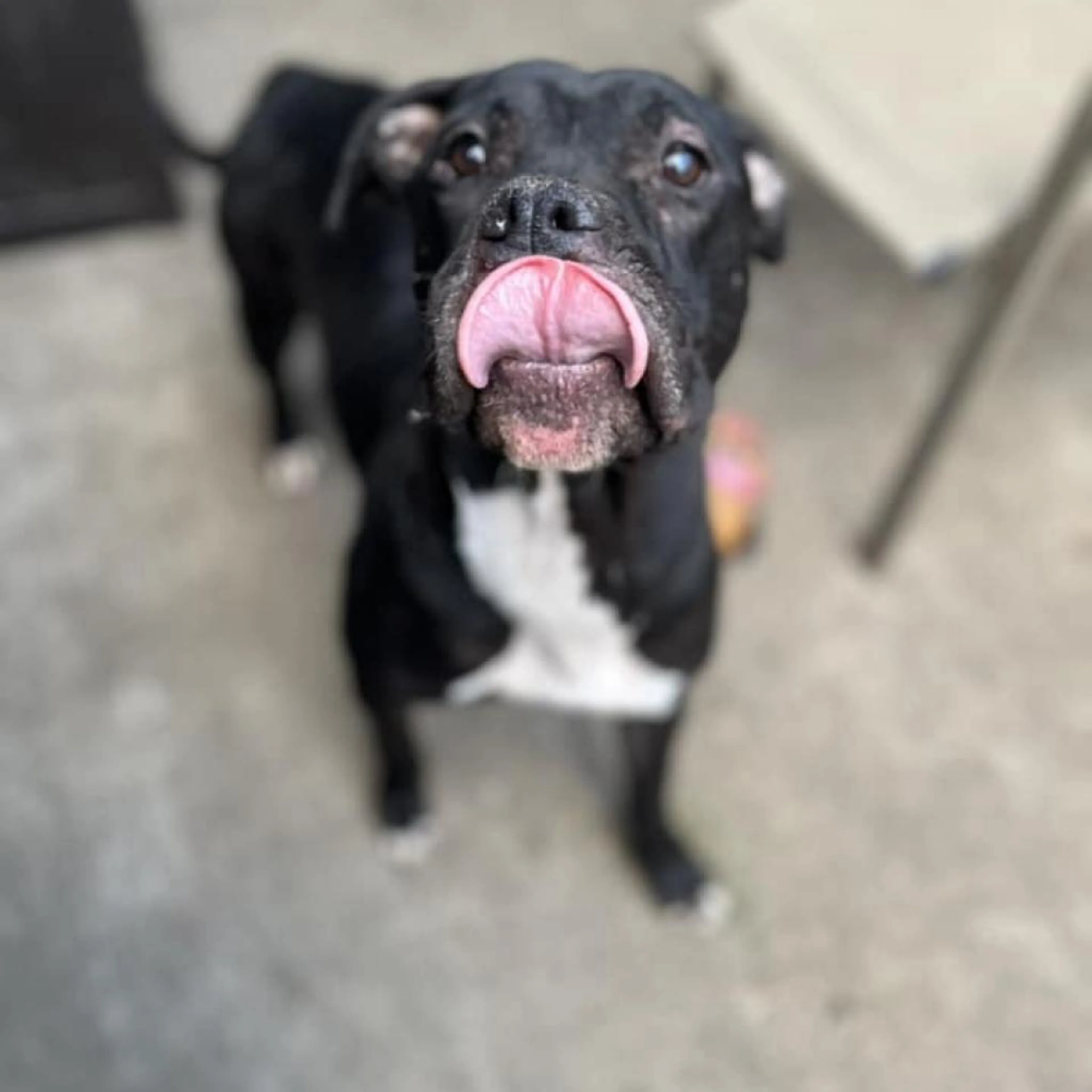 cdn image