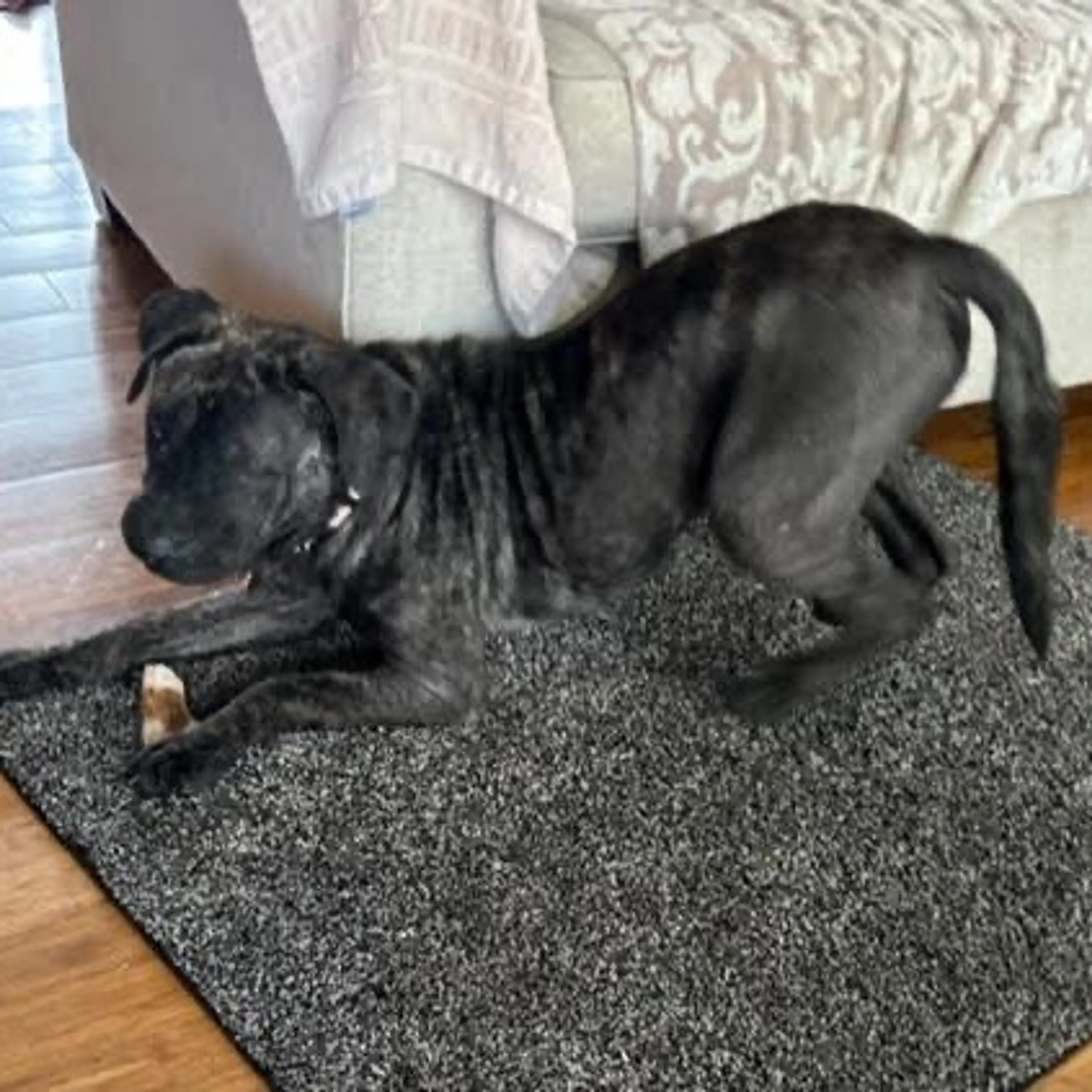 cdn image