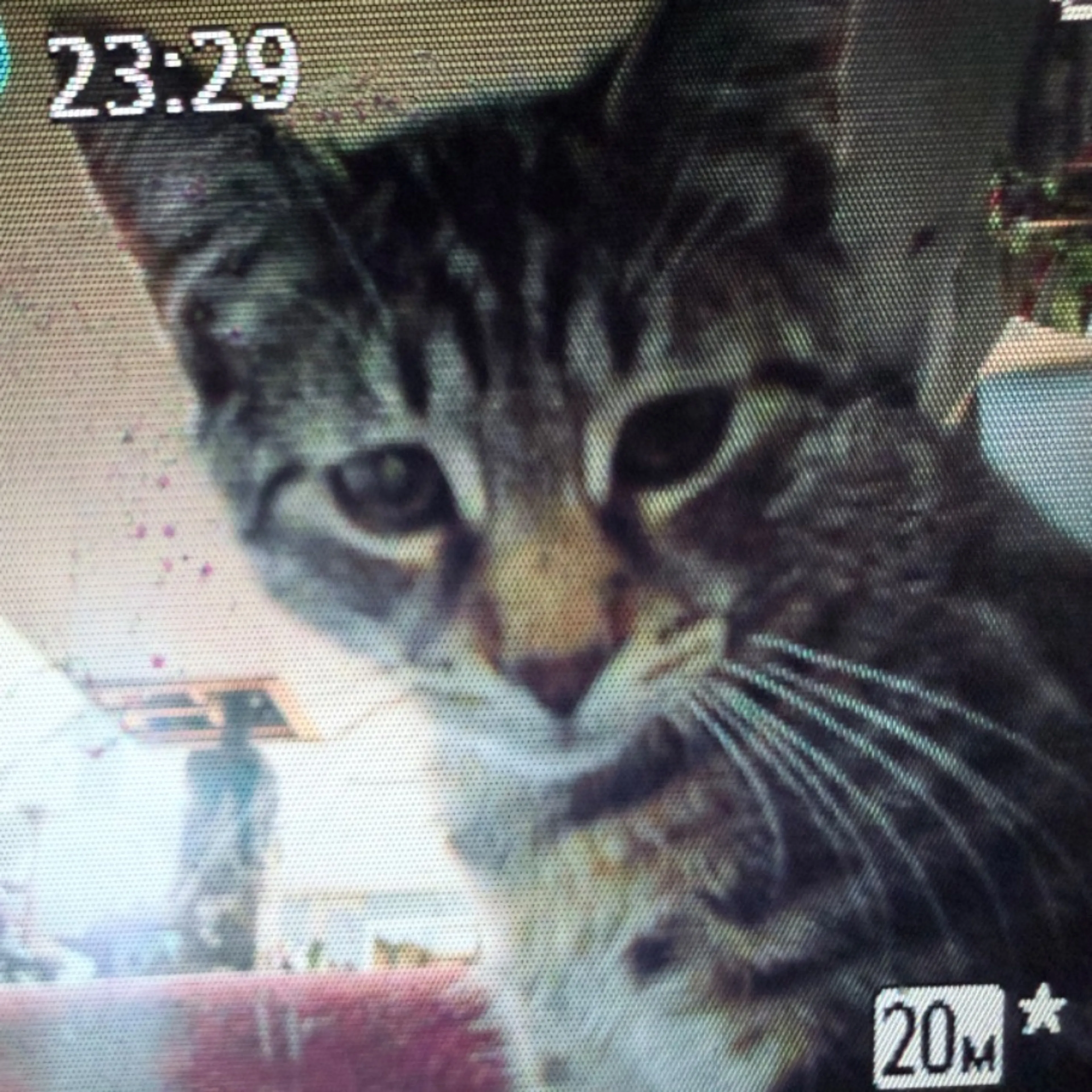 cdn image